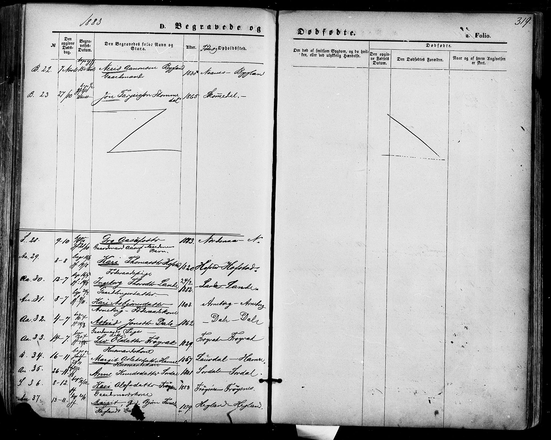 Bygland sokneprestkontor, AV/SAK-1111-0006/F/Fa/Fab/L0006: Parish register (official) no. A 6, 1873-1884, p. 319