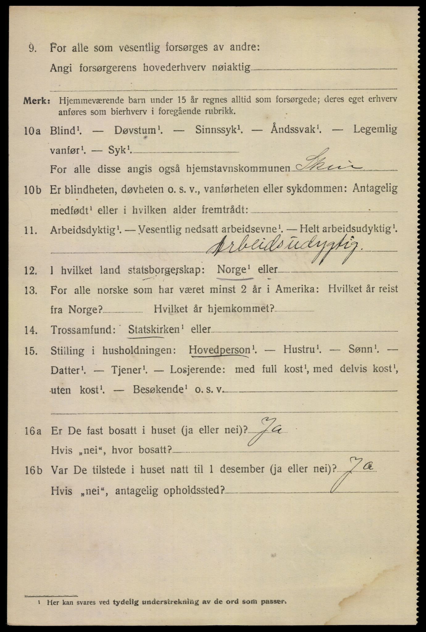 SAKO, 1920 census for Skien, 1920, p. 21785