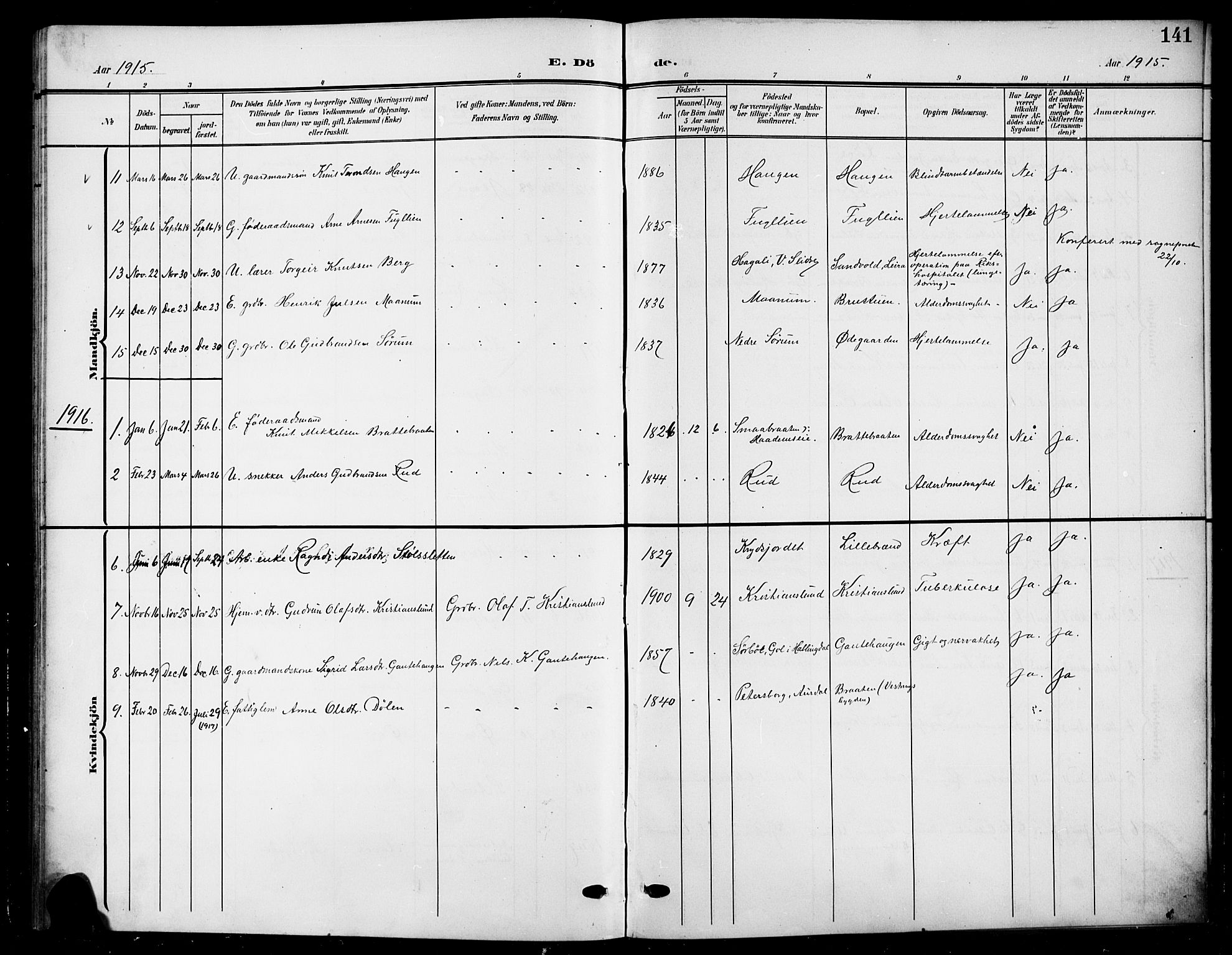 Nord-Aurdal prestekontor, SAH/PREST-132/H/Ha/Hab/L0012: Parish register (copy) no. 12, 1907-1920, p. 141