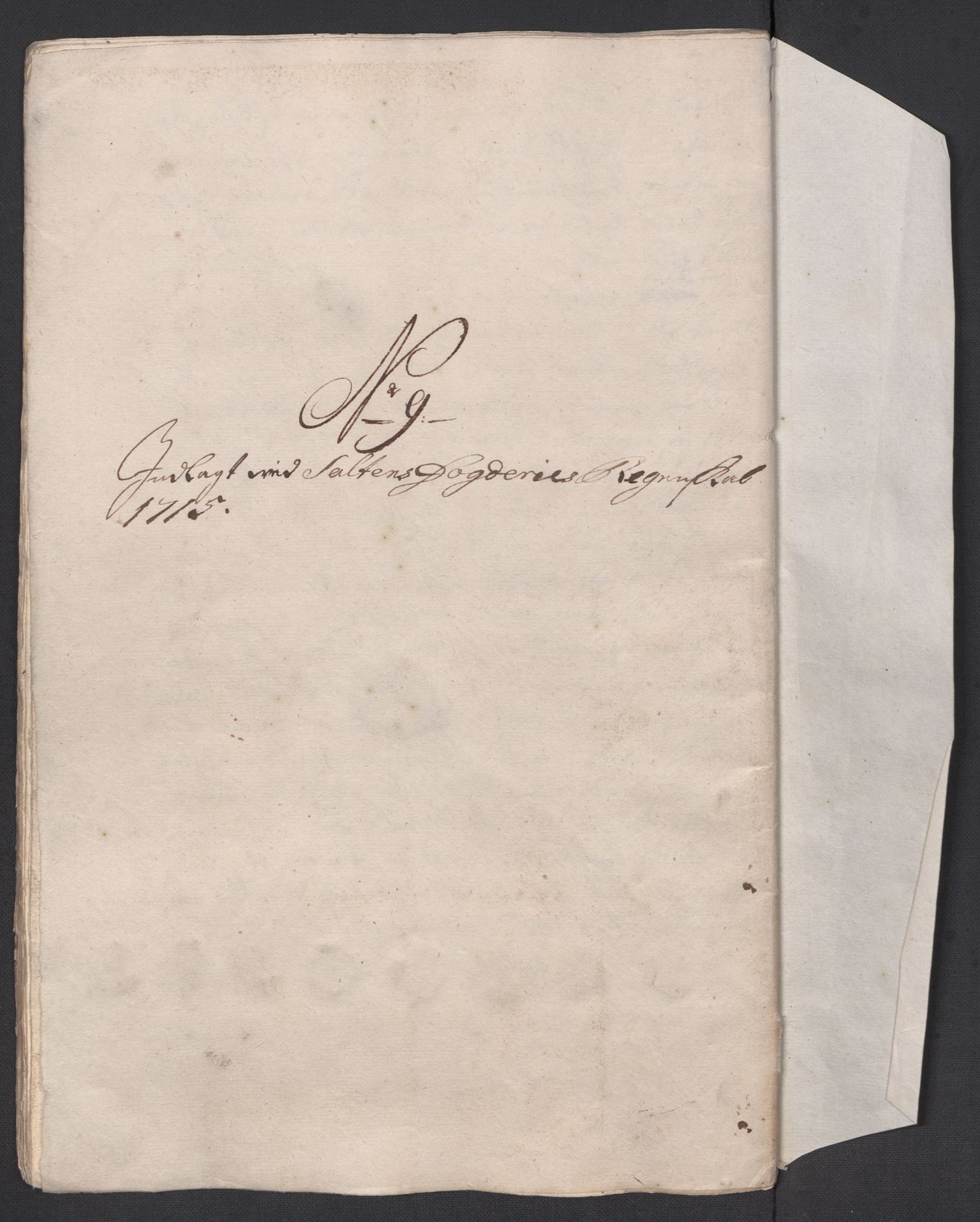 Rentekammeret inntil 1814, Reviderte regnskaper, Fogderegnskap, AV/RA-EA-4092/R66/L4585: Fogderegnskap Salten, 1715, p. 134