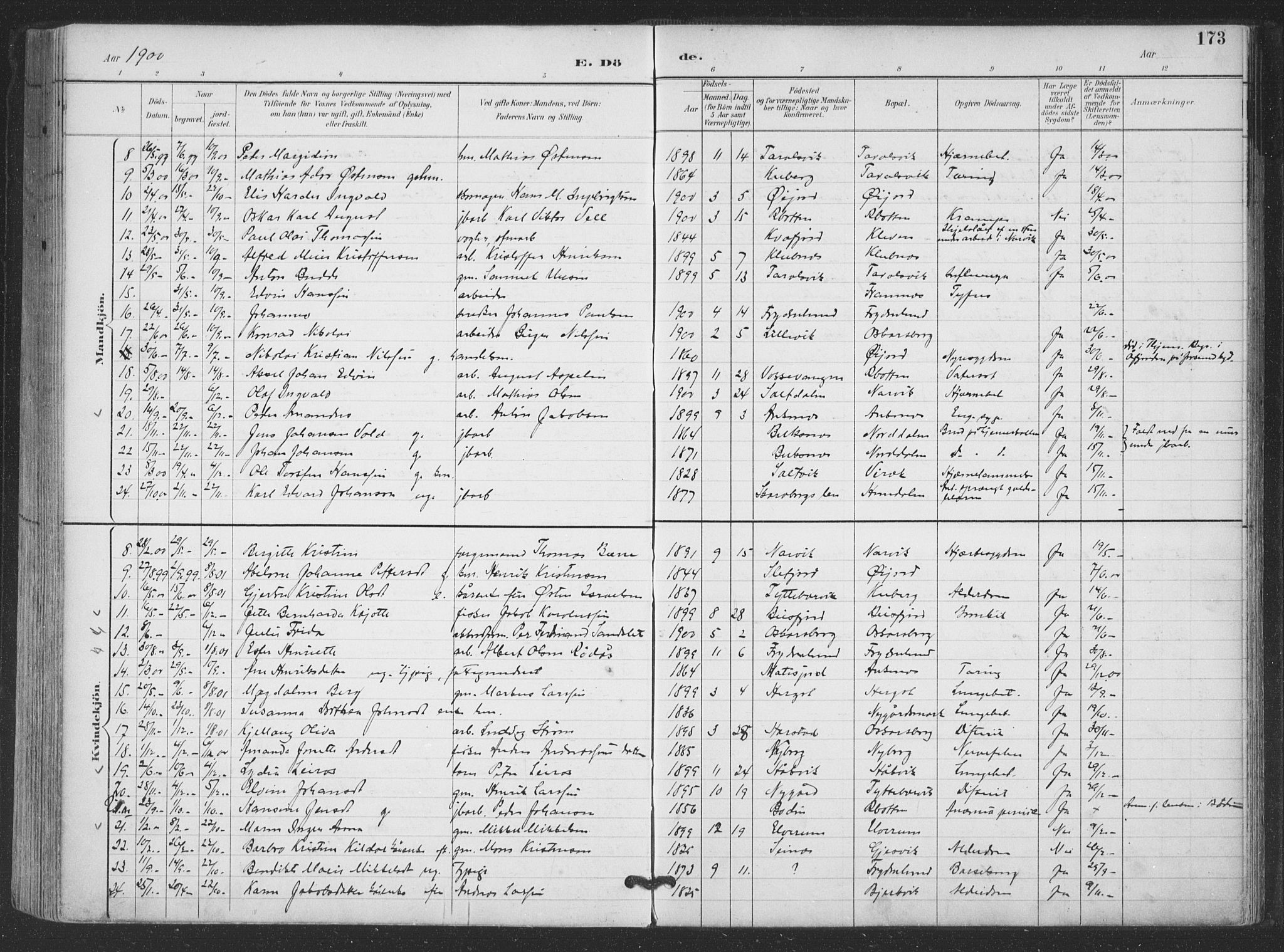 Ministerialprotokoller, klokkerbøker og fødselsregistre - Nordland, AV/SAT-A-1459/866/L0939: Parish register (official) no. 866A02, 1894-1906, p. 173