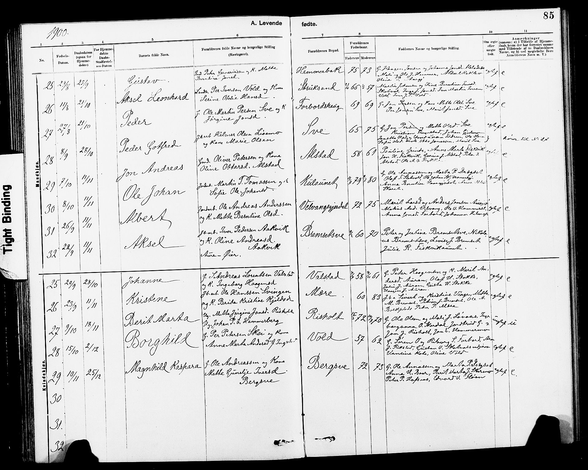 Ministerialprotokoller, klokkerbøker og fødselsregistre - Nord-Trøndelag, AV/SAT-A-1458/712/L0103: Parish register (copy) no. 712C01, 1878-1917, p. 85