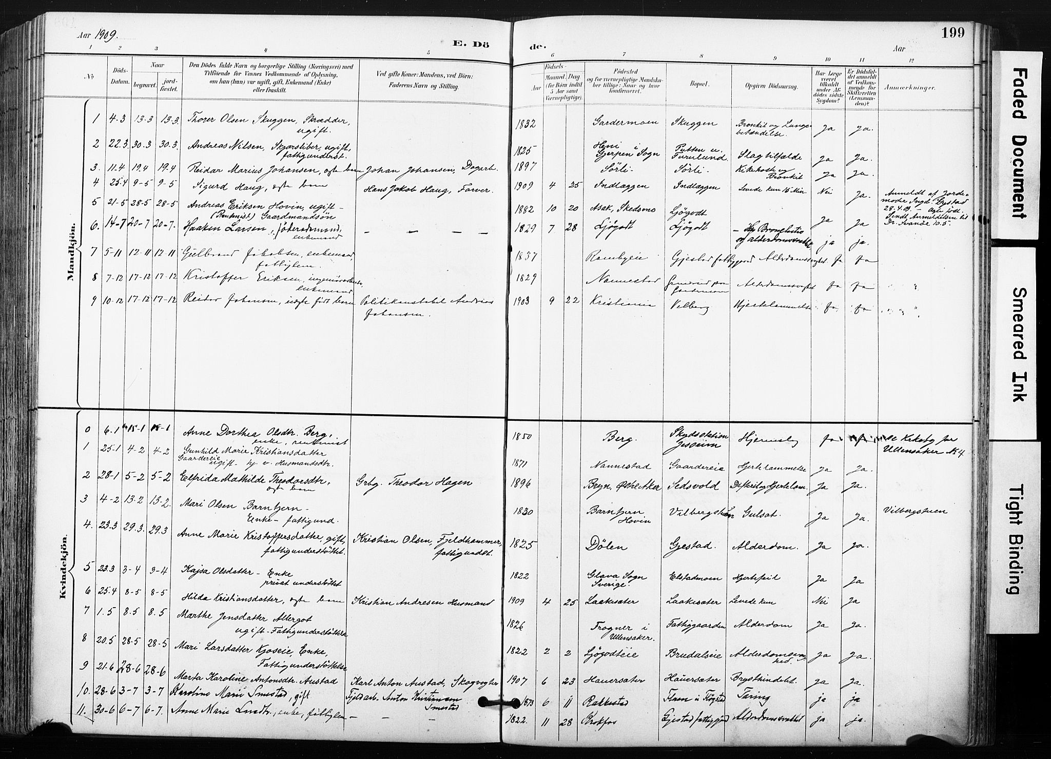 Ullensaker prestekontor Kirkebøker, AV/SAO-A-10236a/F/Fb/L0002: Parish register (official) no. II 2, 1894-1909, p. 199