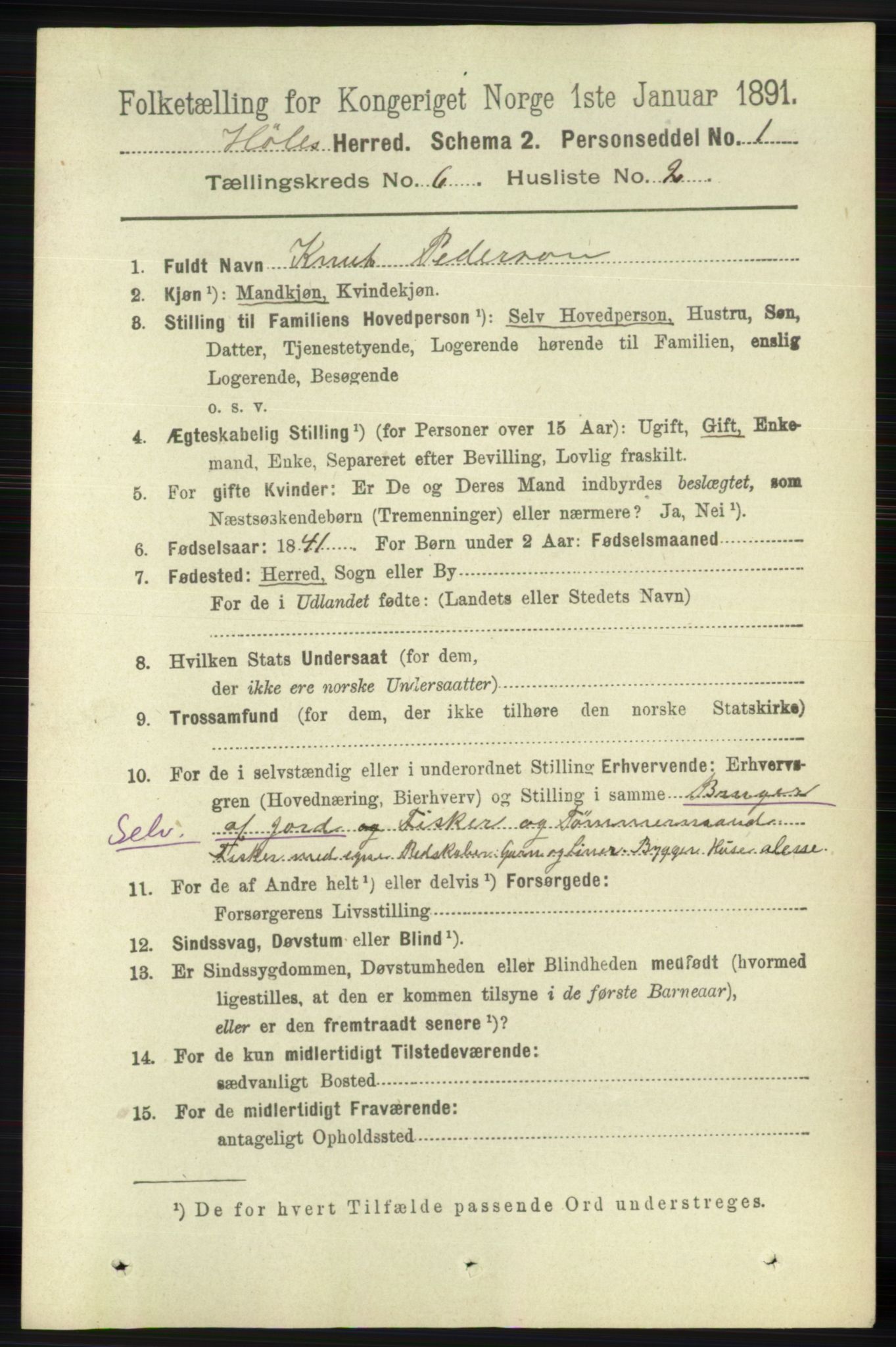 RA, 1891 census for 1128 Høle, 1891, p. 1298