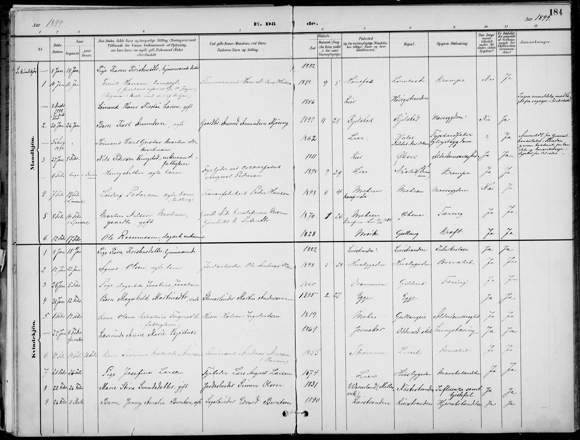 Lier kirkebøker, SAKO/A-230/F/Fa/L0016: Parish register (official) no. I 16, 1895-1900, p. 184