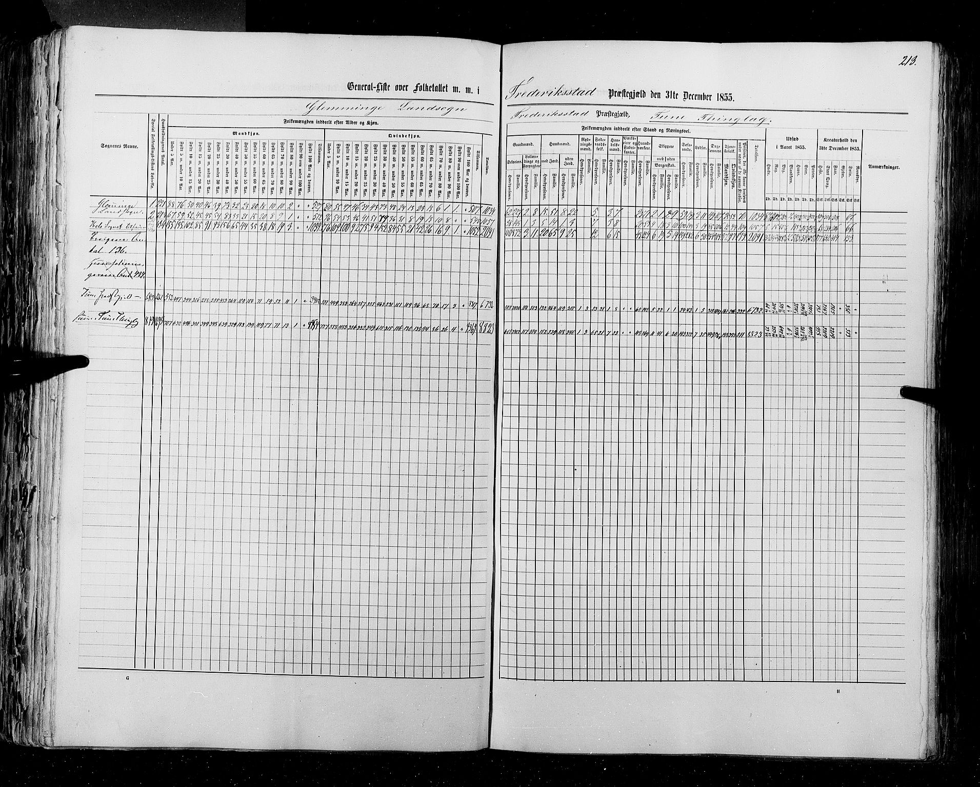 RA, Census 1855, vol. 1: Akershus amt, Smålenenes amt og Hedemarken amt, 1855, p. 213