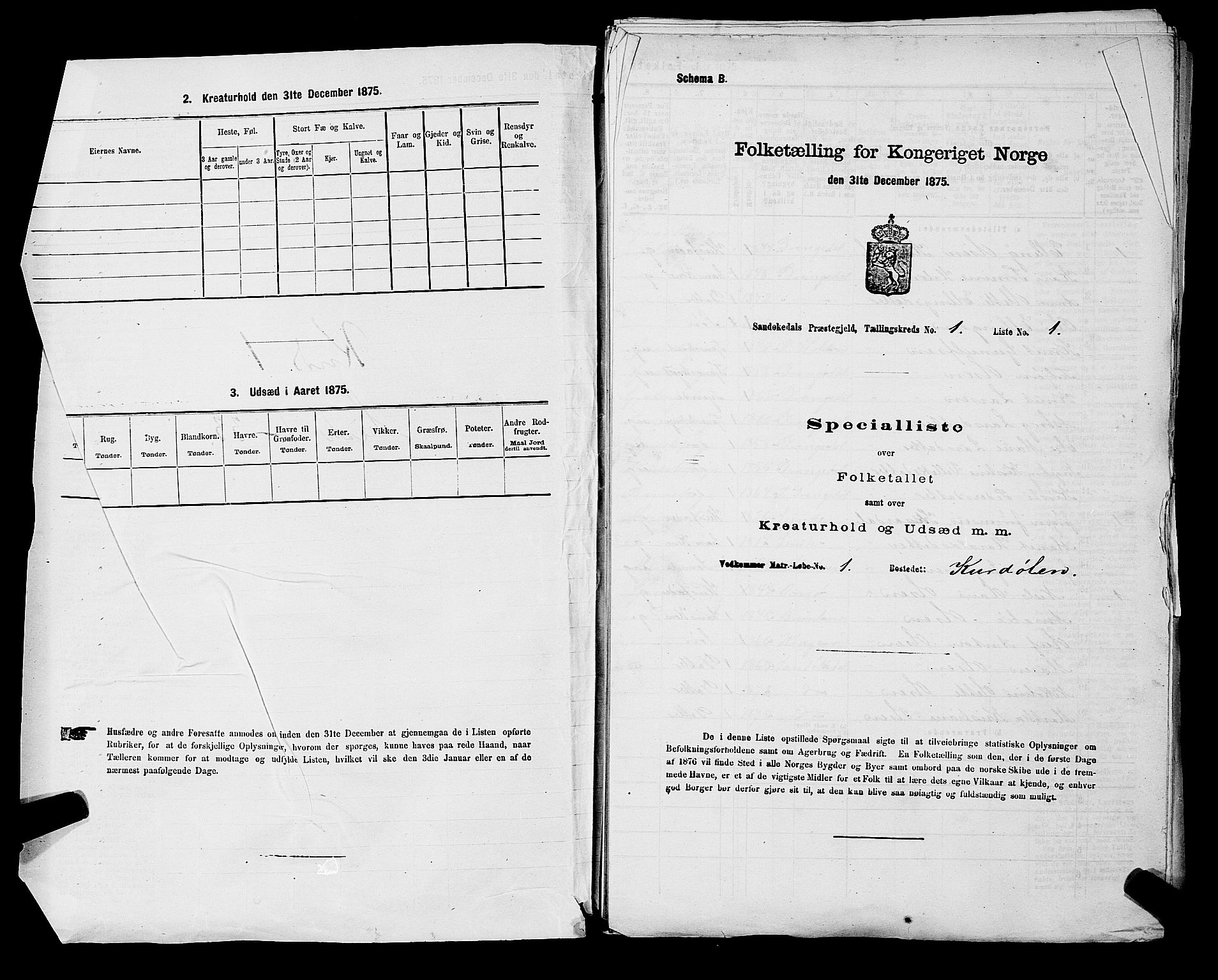 SAKO, 1875 census for 0816P Sannidal, 1875, p. 132