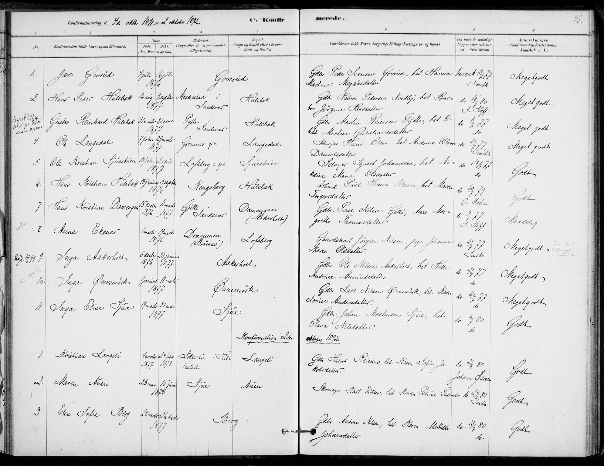 Hof kirkebøker, AV/SAKO-A-64/F/Fb/L0001: Parish register (official) no. II 1, 1878-1907, p. 46