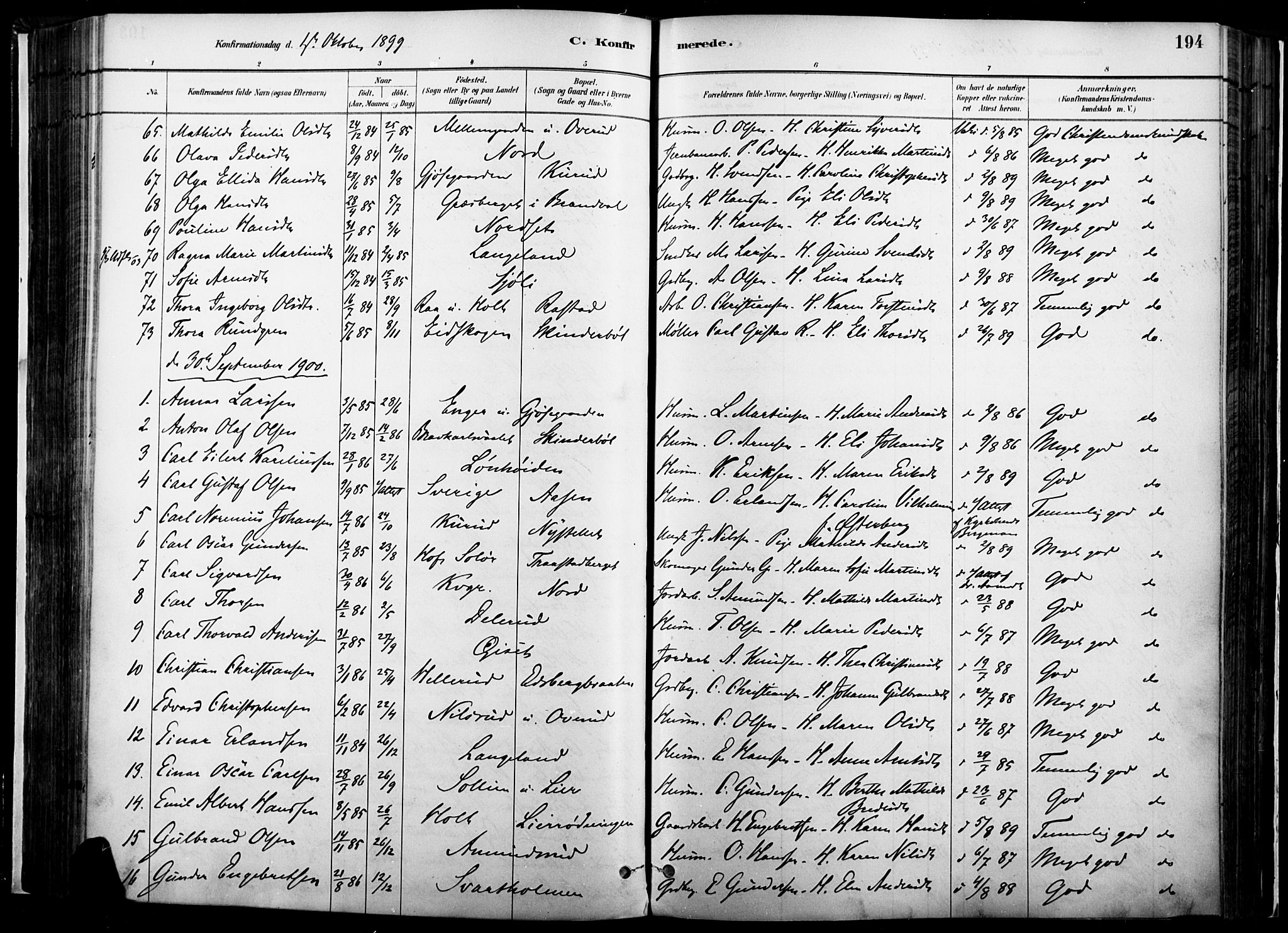 Vinger prestekontor, AV/SAH-PREST-024/H/Ha/Haa/L0014: Parish register (official) no. 14, 1881-1900, p. 194