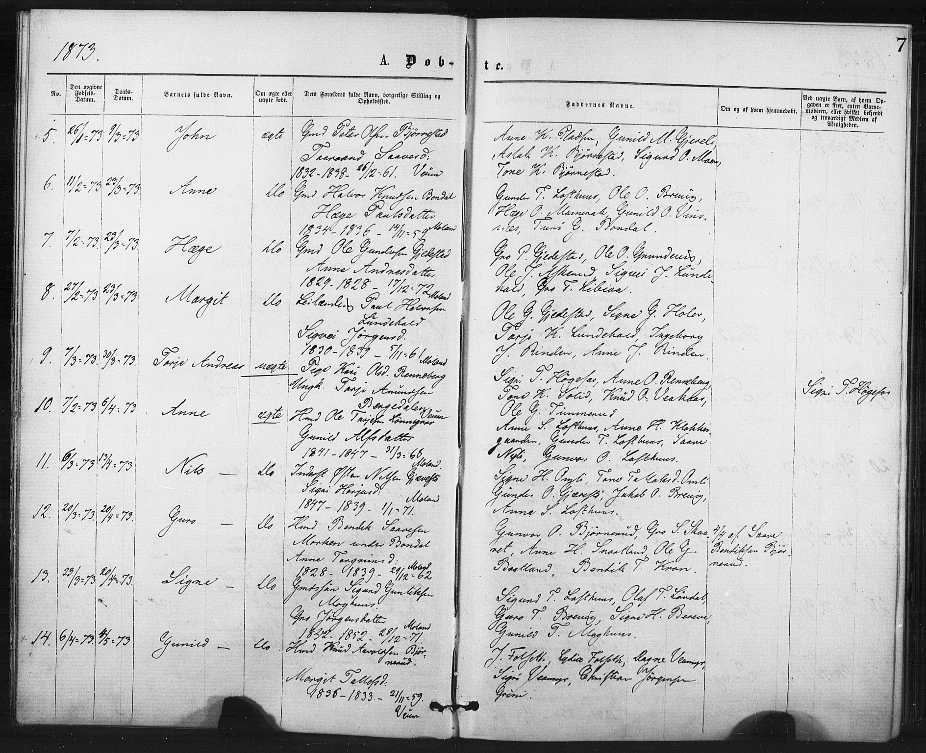 Fyresdal kirkebøker, SAKO/A-263/F/Fa/L0006: Parish register (official) no. I 6, 1872-1886, p. 7