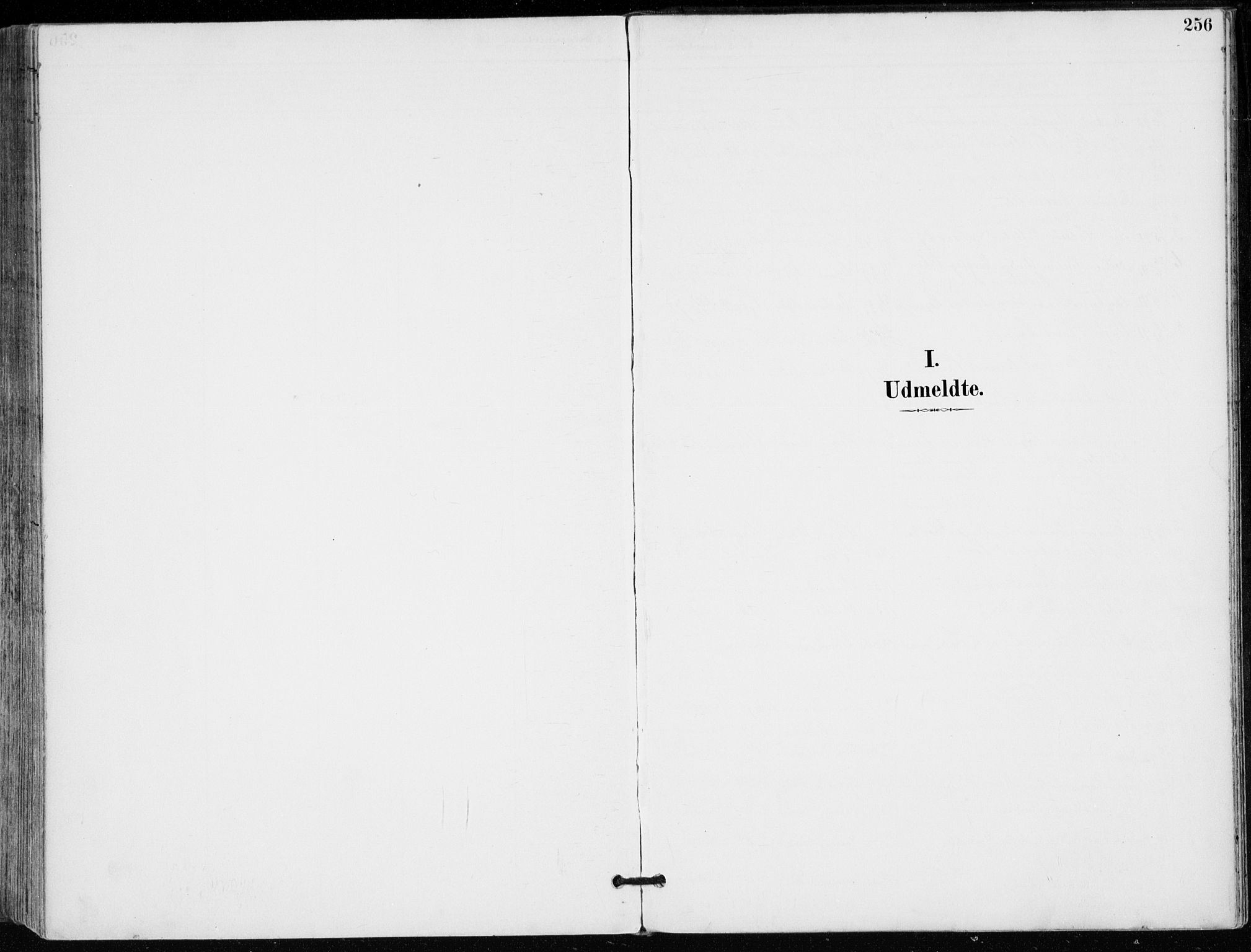 Modum kirkebøker, AV/SAKO-A-234/F/Fa/L0012: Parish register (official) no. 12, 1890-1898, p. 256