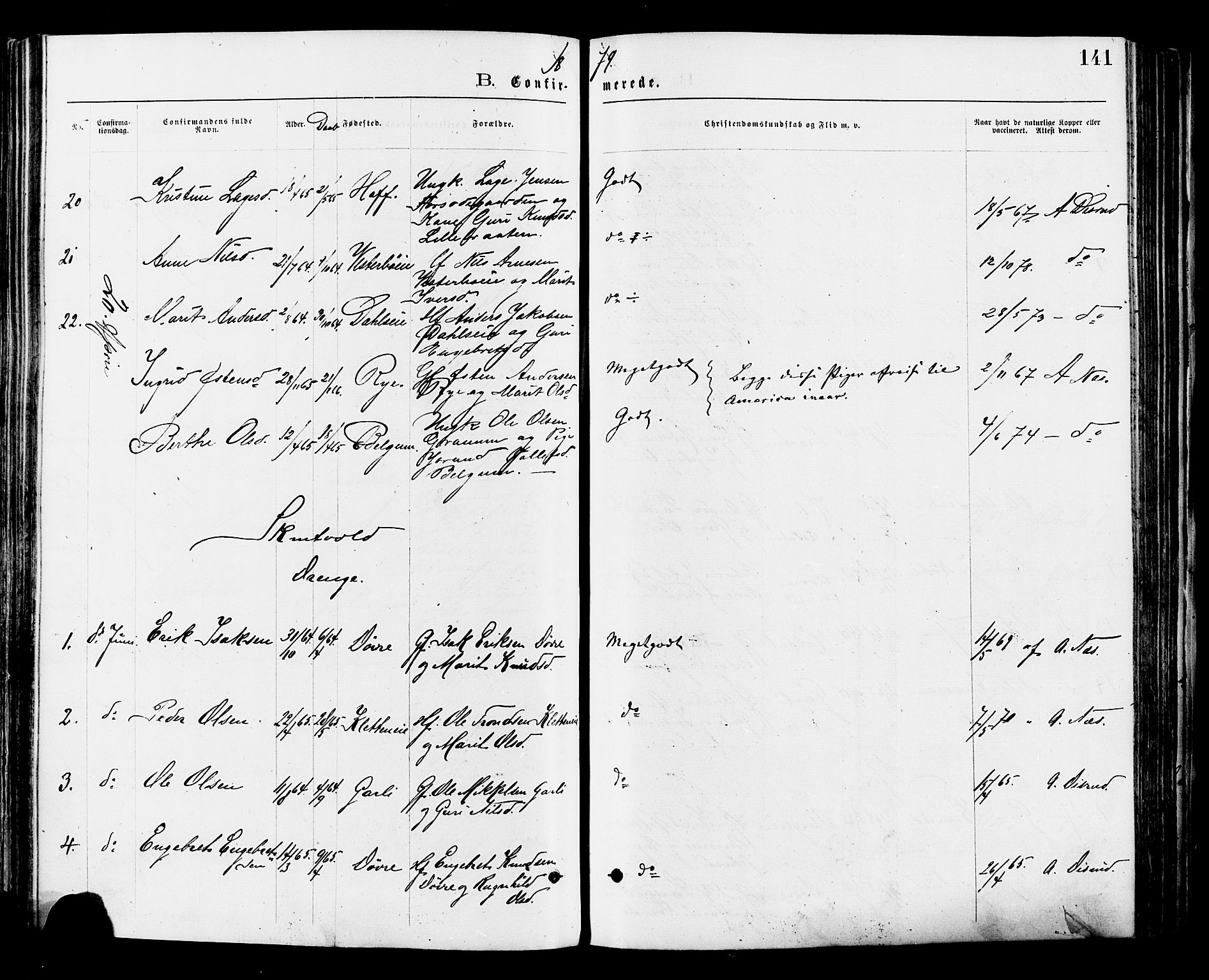 Nord-Aurdal prestekontor, AV/SAH-PREST-132/H/Ha/Haa/L0009: Parish register (official) no. 9, 1876-1882, p. 141