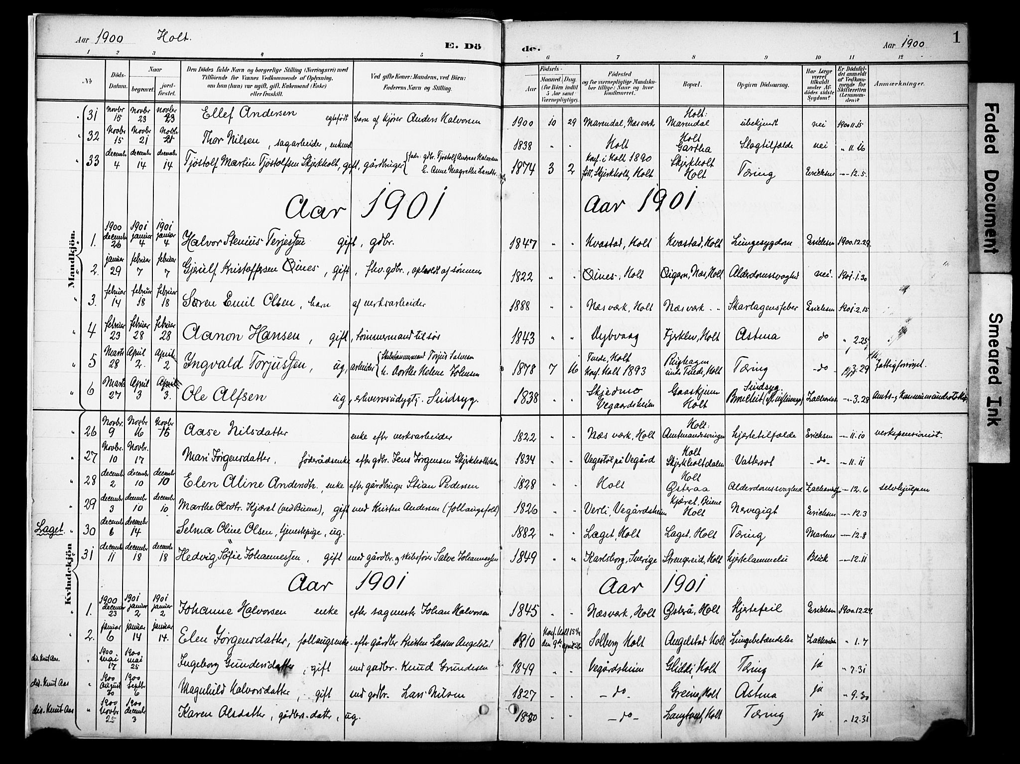 Holt sokneprestkontor, AV/SAK-1111-0021/F/Fa/L0013: Parish register (official) no. A 13, 1900-1912, p. 1