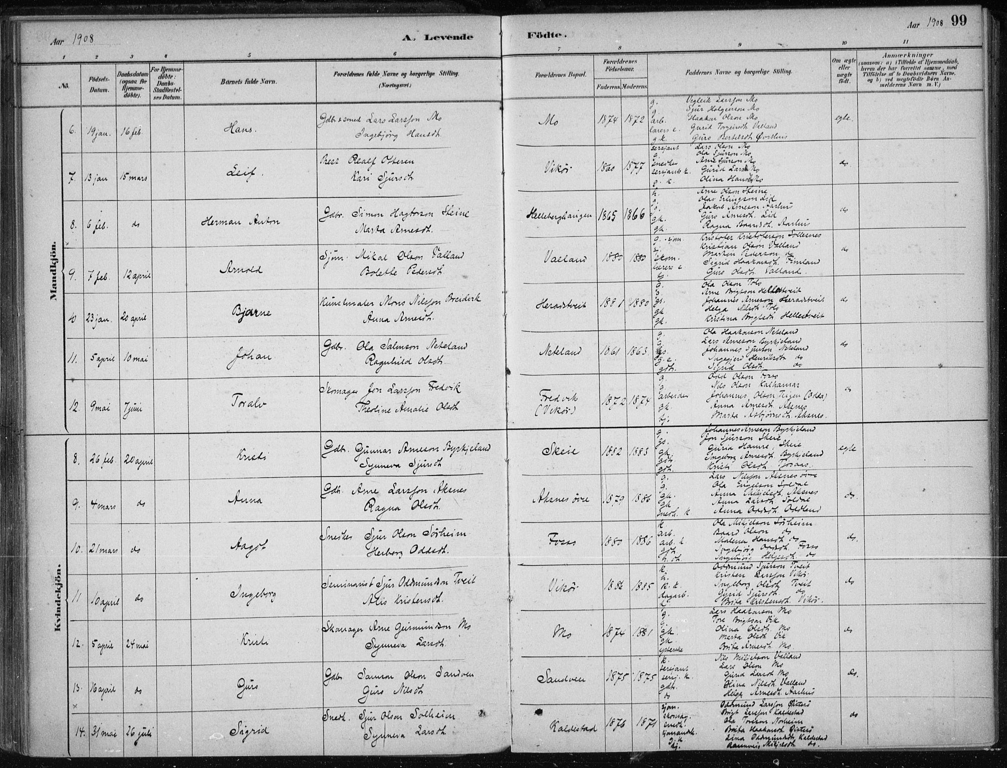 Kvam sokneprestembete, AV/SAB-A-76201/H/Haa: Parish register (official) no. B  1, 1880-1908, p. 99