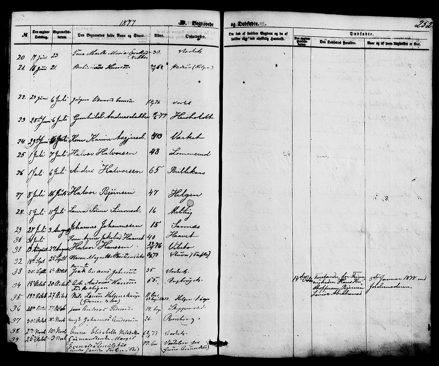 Holla kirkebøker, SAKO/A-272/F/Fa/L0007: Parish register (official) no. 7, 1869-1881, p. 252