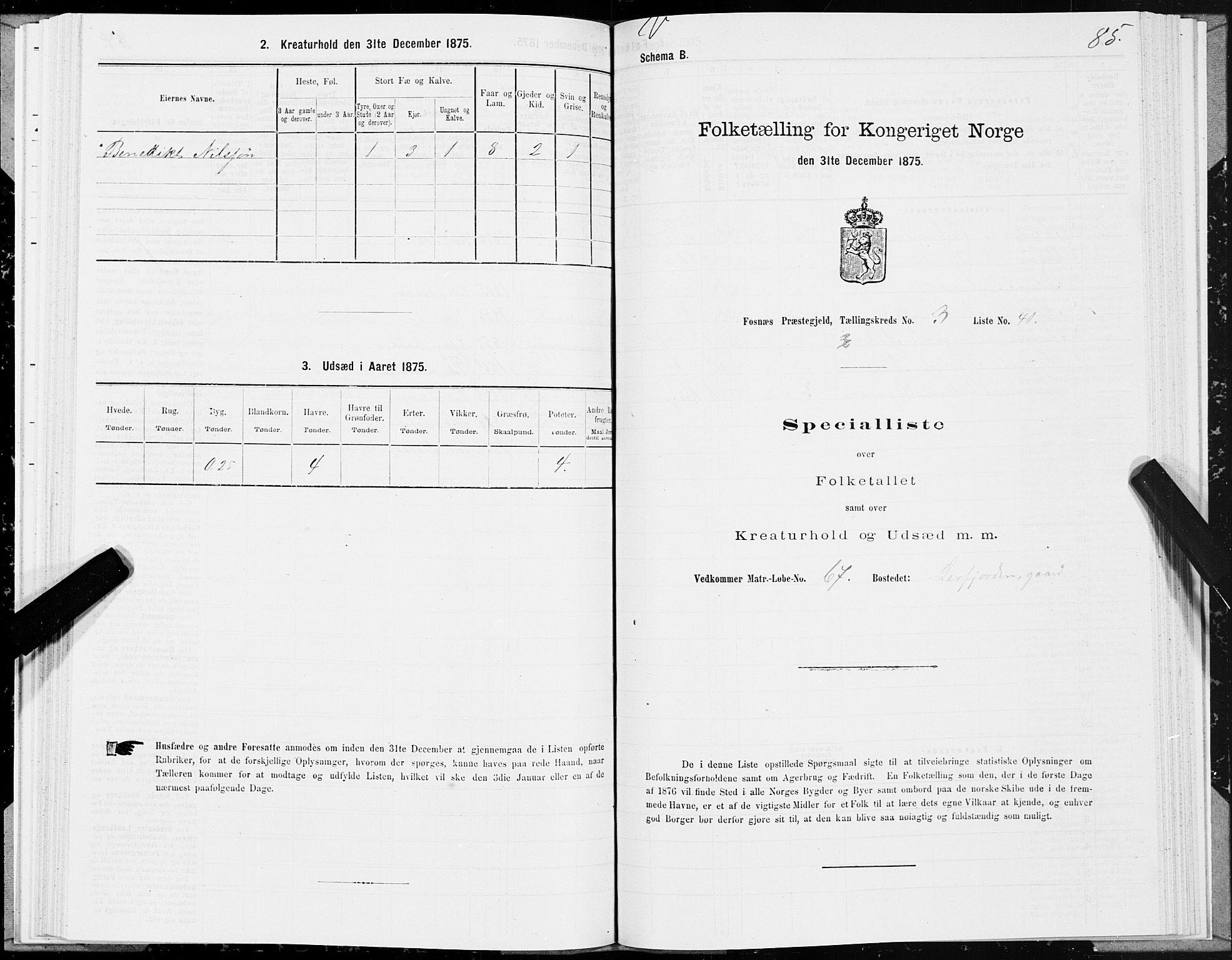 SAT, 1875 census for 1748P Fosnes, 1875, p. 4085