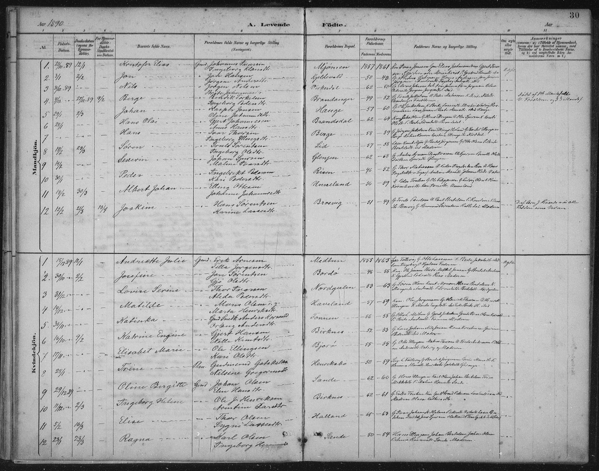 Gulen sokneprestembete, AV/SAB-A-80201/H/Hab/Habb/L0003: Parish register (copy) no. B 3, 1884-1907, p. 30