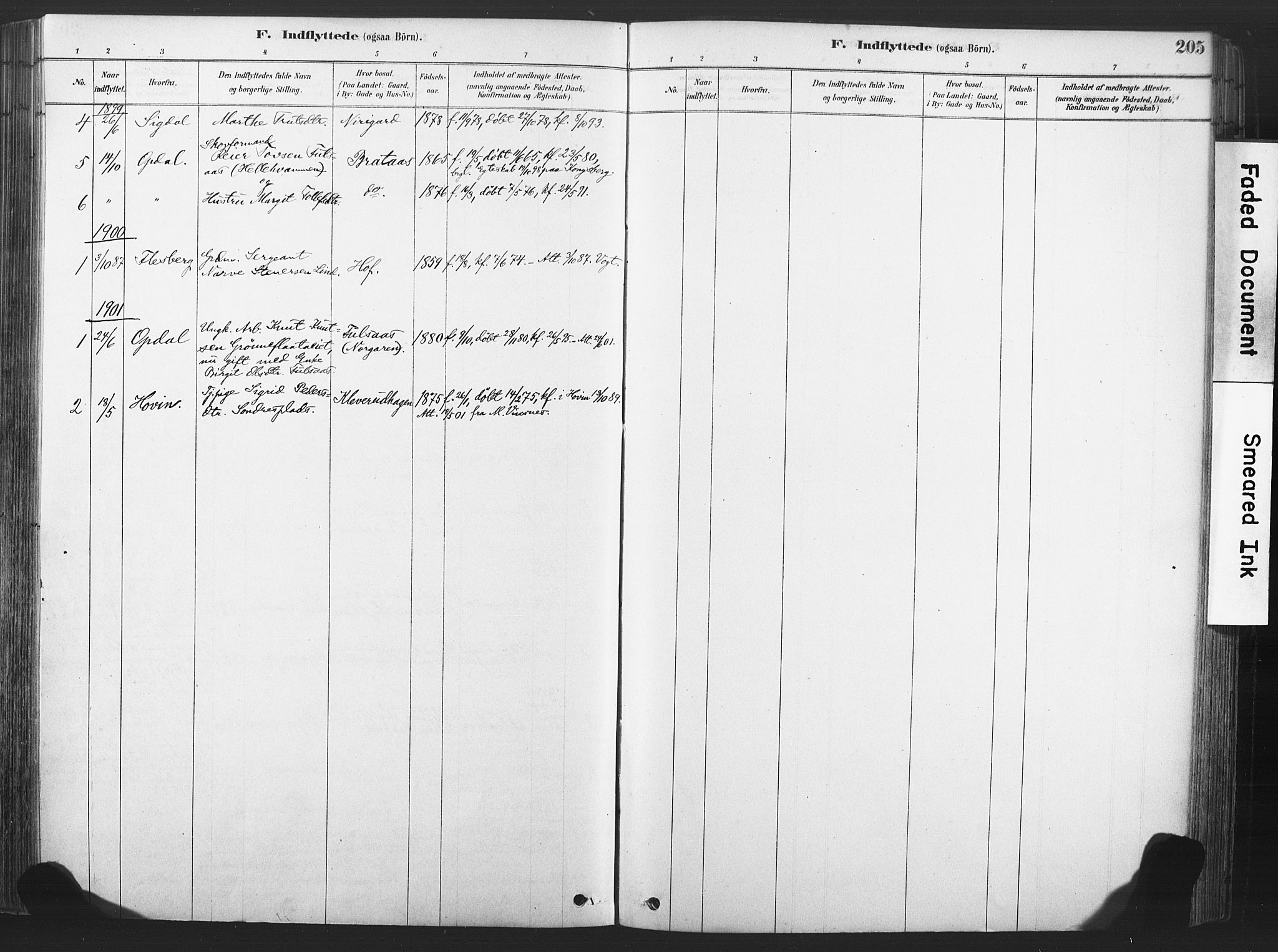 Rollag kirkebøker, SAKO/A-240/F/Fa/L0011: Parish register (official) no. I 11, 1878-1902, p. 205