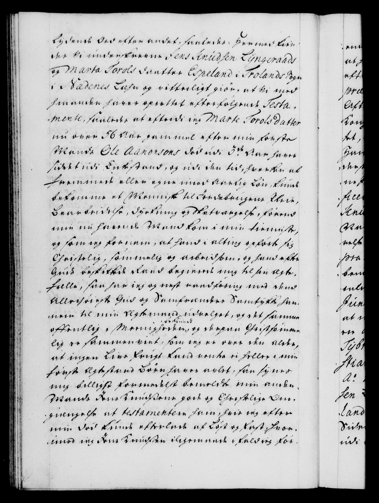 Danske Kanselli 1572-1799, AV/RA-EA-3023/F/Fc/Fca/Fcaa/L0028: Norske registre, 1733-1734, p. 393b