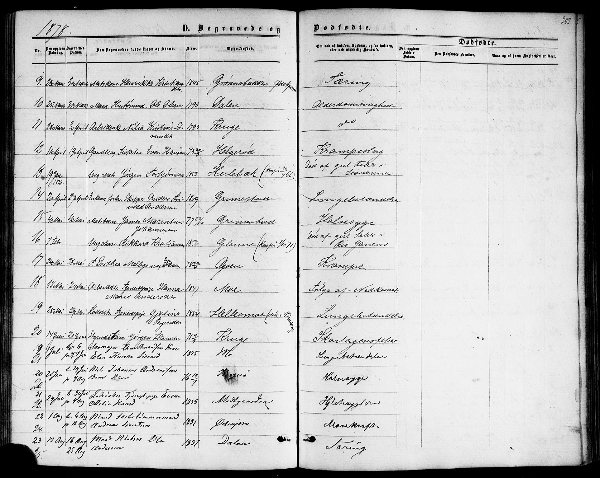 Nøtterøy kirkebøker, AV/SAKO-A-354/F/Fb/L0001: Parish register (official) no. II 1, 1865-1878, p. 202