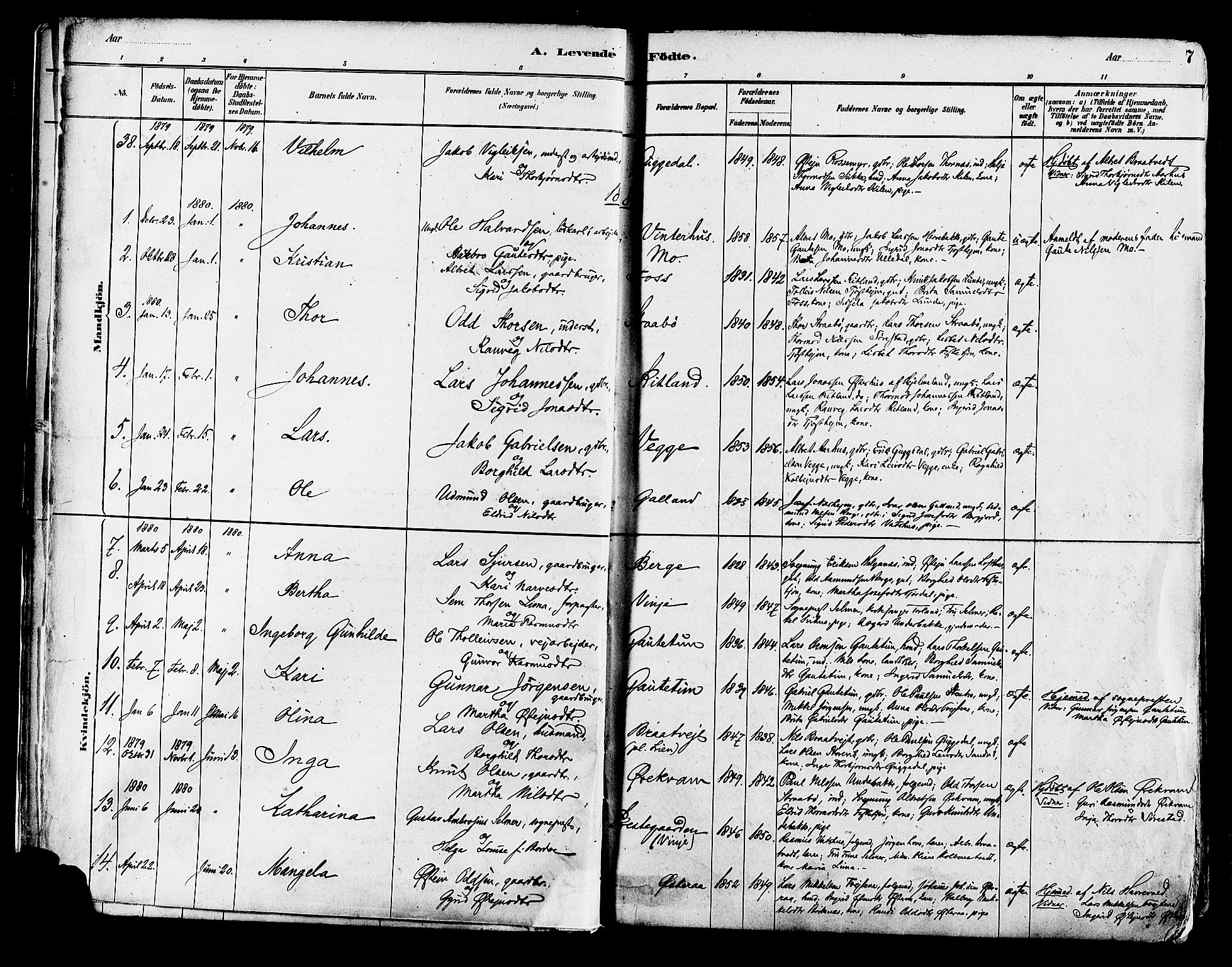 Suldal sokneprestkontor, AV/SAST-A-101845/01/IV/L0011: Parish register (official) no. A 11, 1878-1900, p. 7