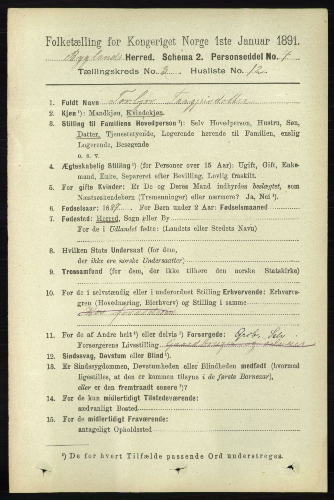 RA, 1891 census for 0938 Bygland, 1891, p. 633