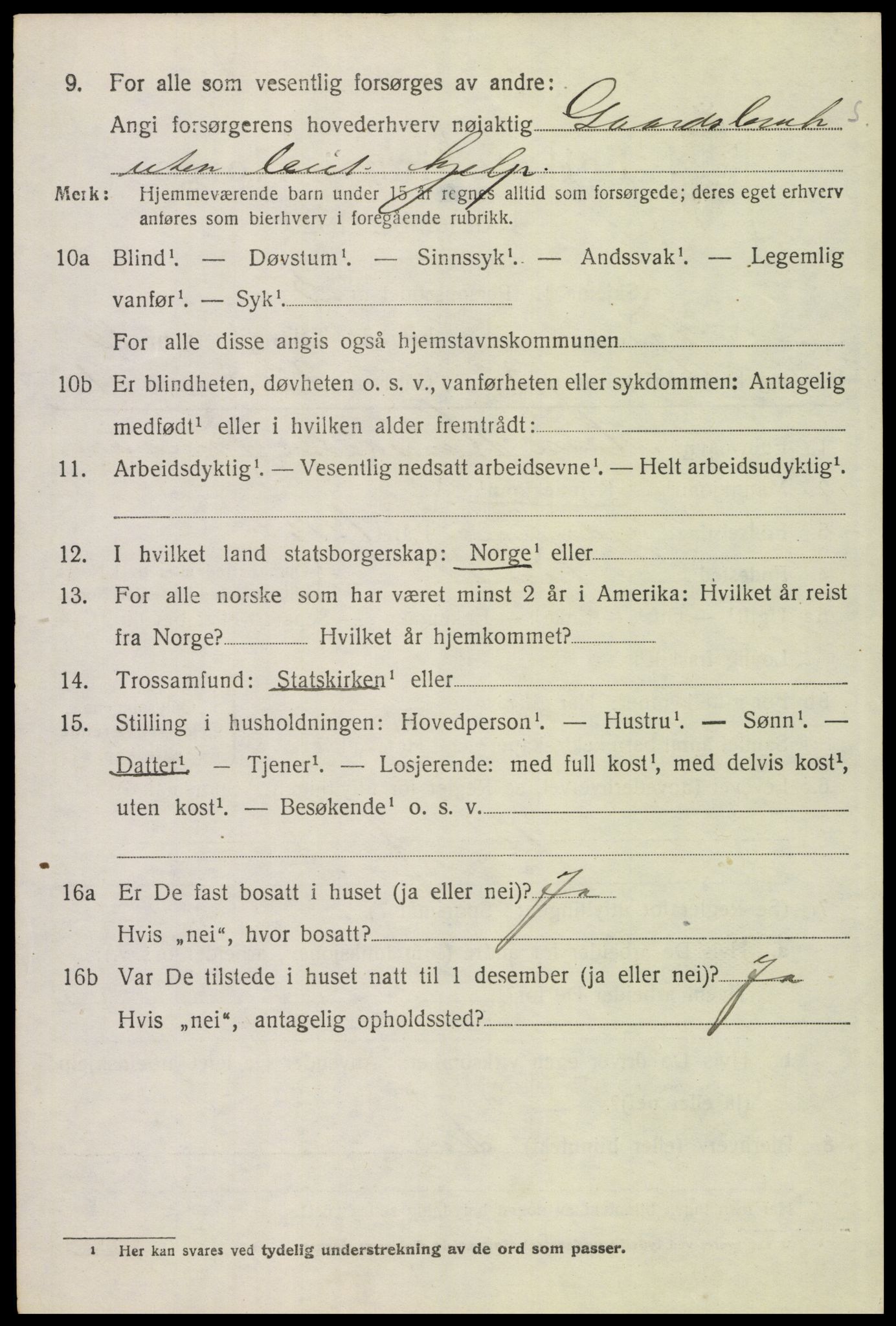 SAH, 1920 census for Tynset, 1920, p. 8009