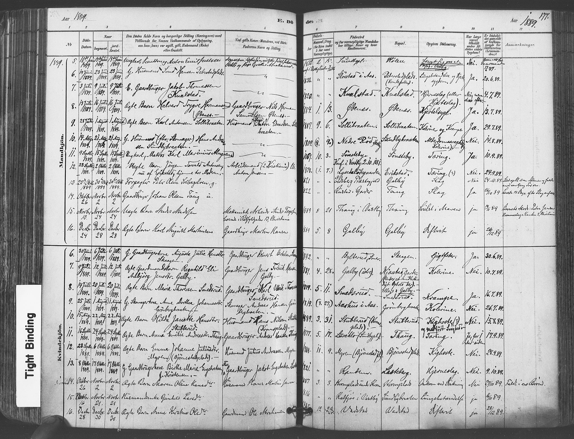 Vestby prestekontor Kirkebøker, AV/SAO-A-10893/F/Fa/L0009: Parish register (official) no. I 9, 1878-1900, p. 177