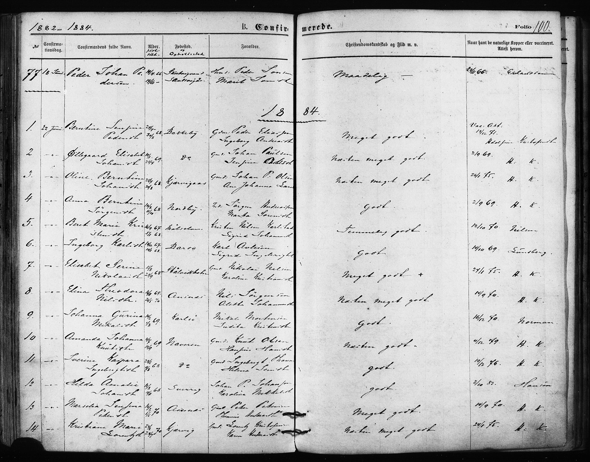 Balsfjord sokneprestembete, SATØ/S-1303/G/Ga/L0002kirke: Parish register (official) no. 2, 1871-1886, p. 100
