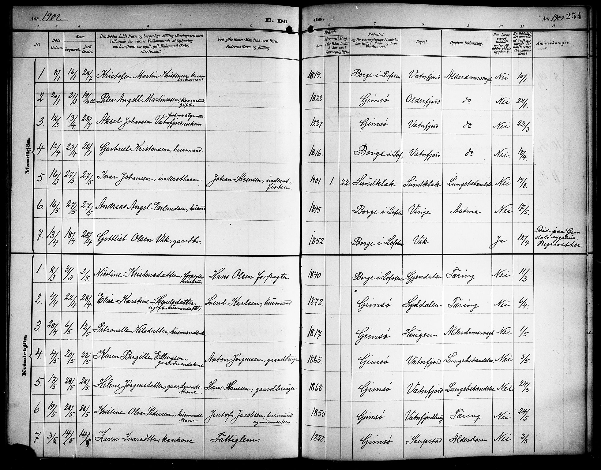 Ministerialprotokoller, klokkerbøker og fødselsregistre - Nordland, AV/SAT-A-1459/876/L1105: Parish register (copy) no. 876C04, 1896-1914, p. 254