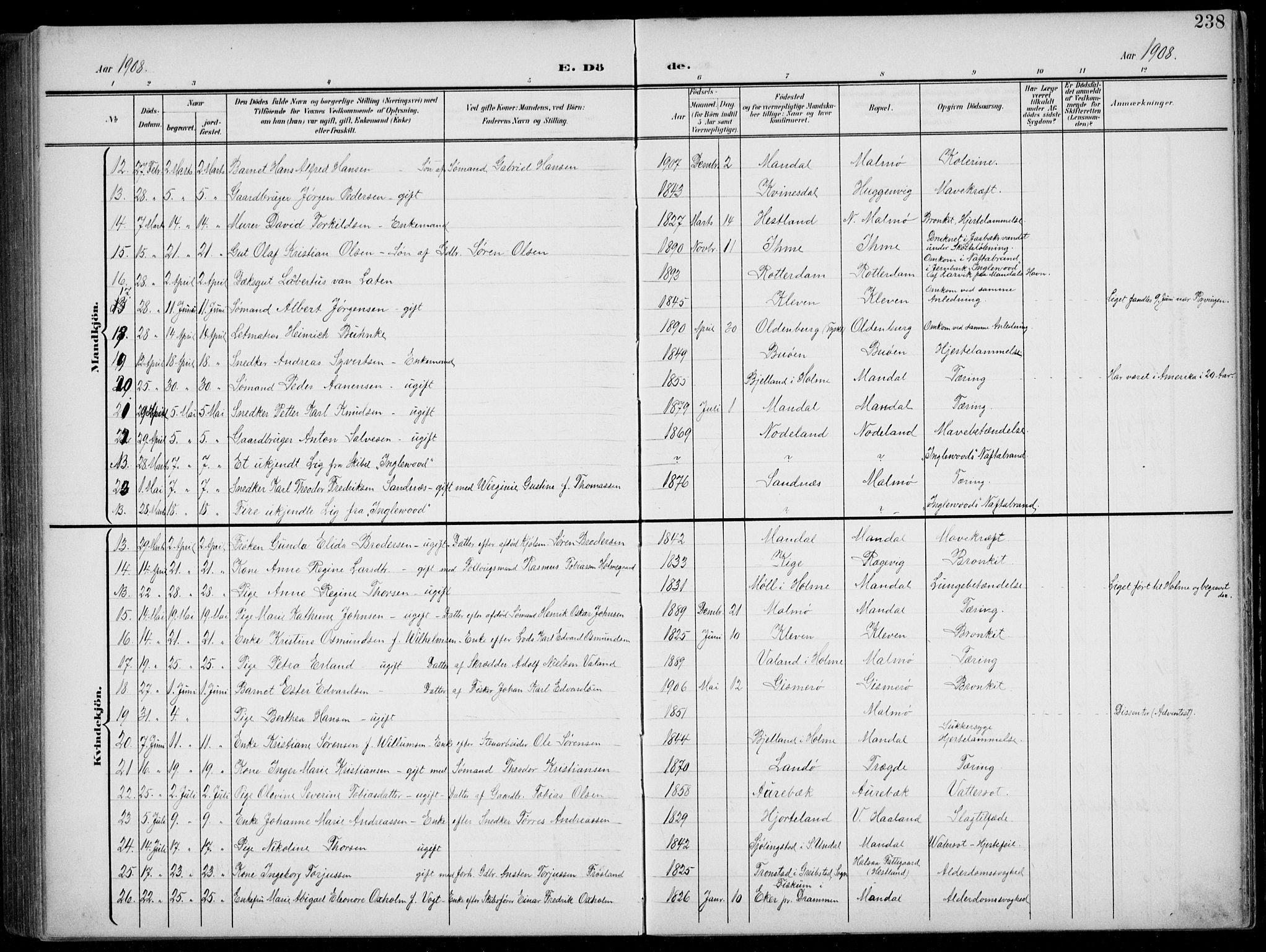 Mandal sokneprestkontor, AV/SAK-1111-0030/F/Fb/Fba/L0012: Parish register (copy) no. B 6, 1899-1918, p. 238