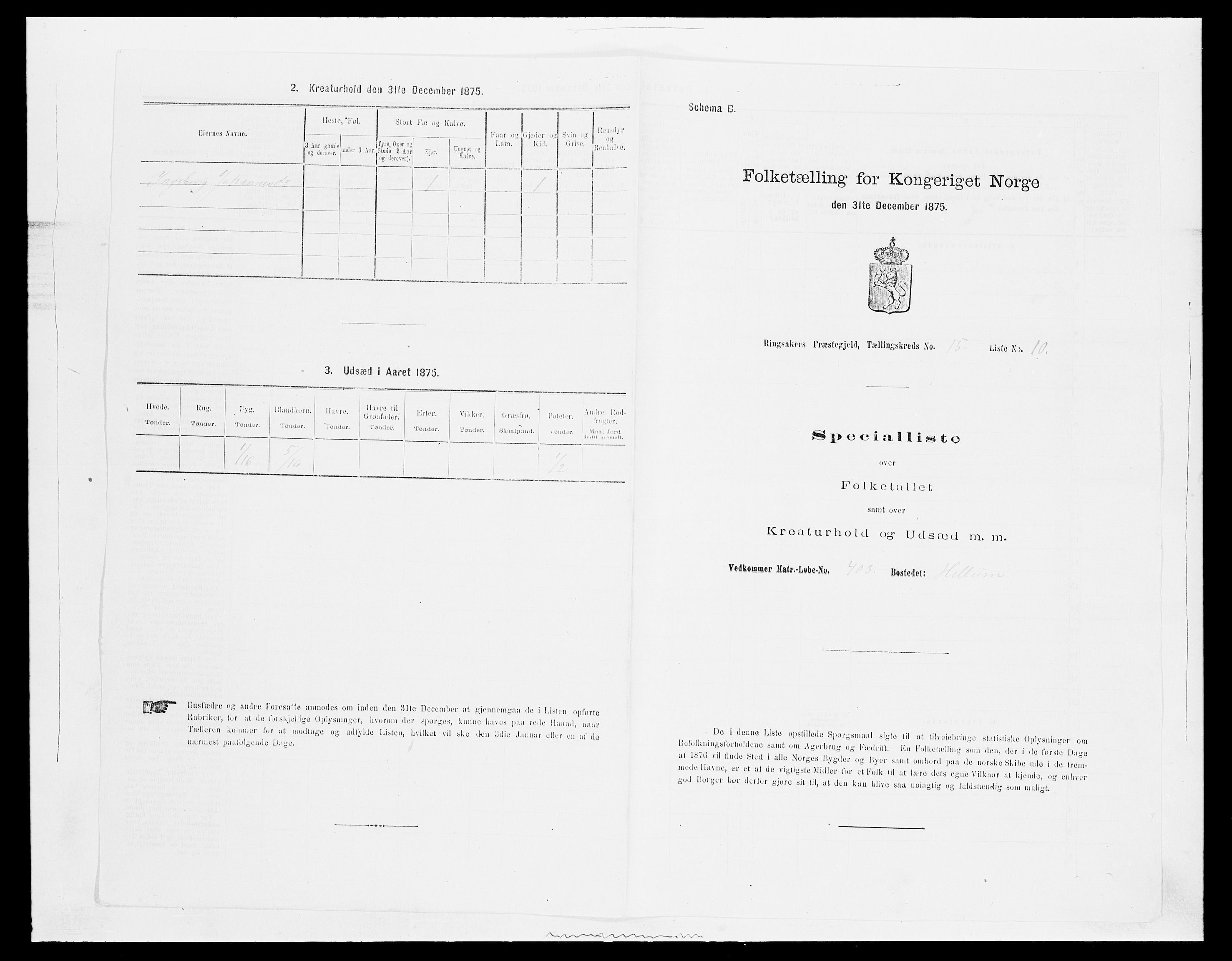 SAH, 1875 census for 0412P Ringsaker, 1875, p. 3050