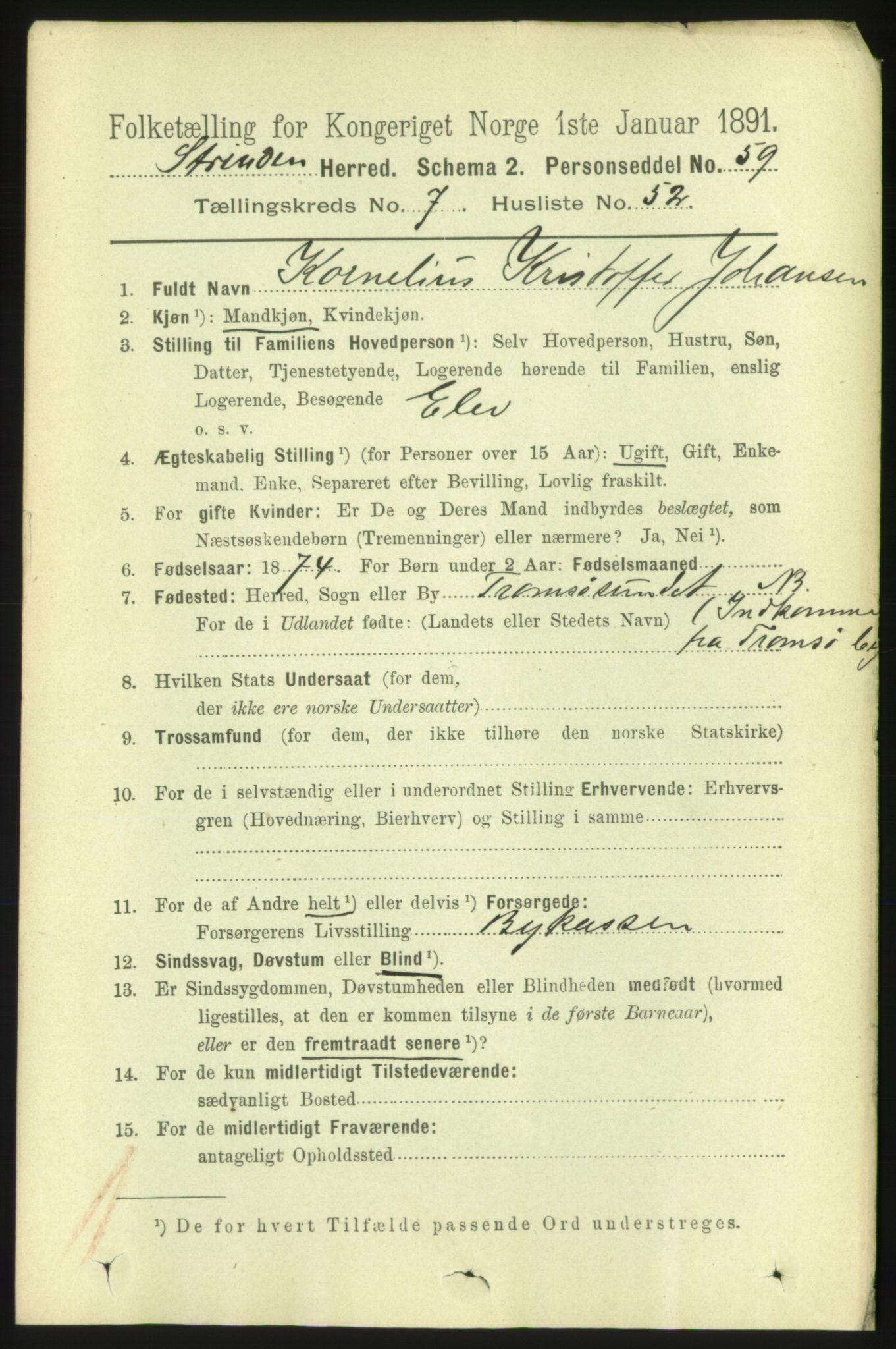 RA, 1891 census for 1660 Strinda, 1891, p. 6654