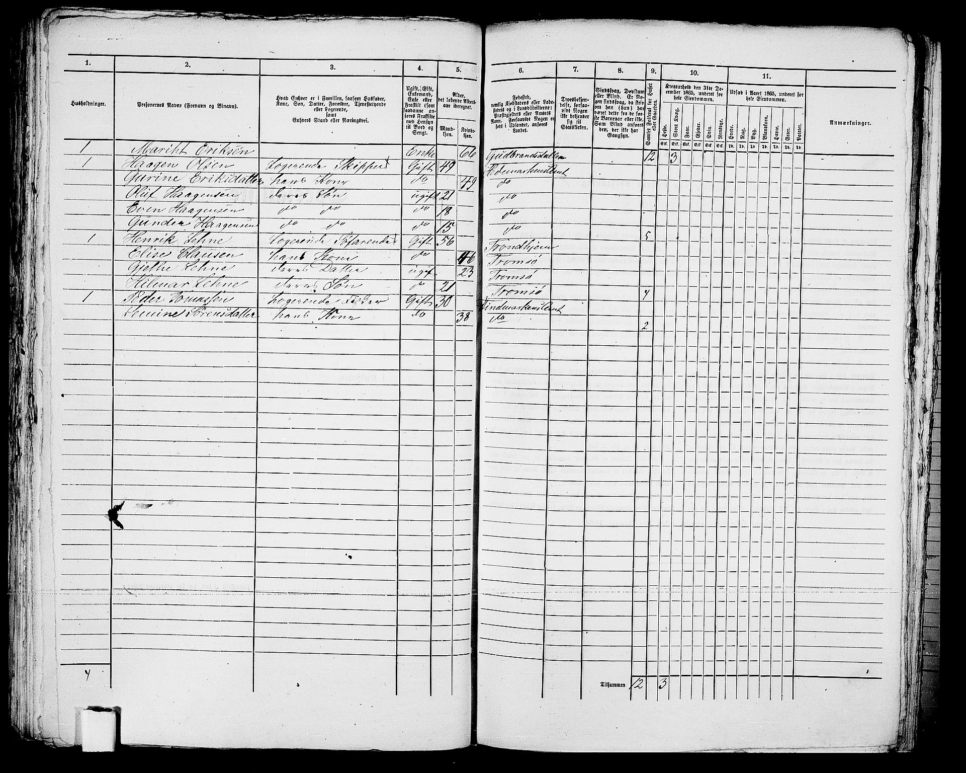 RA, 1865 census for Tromsø, 1865, p. 495