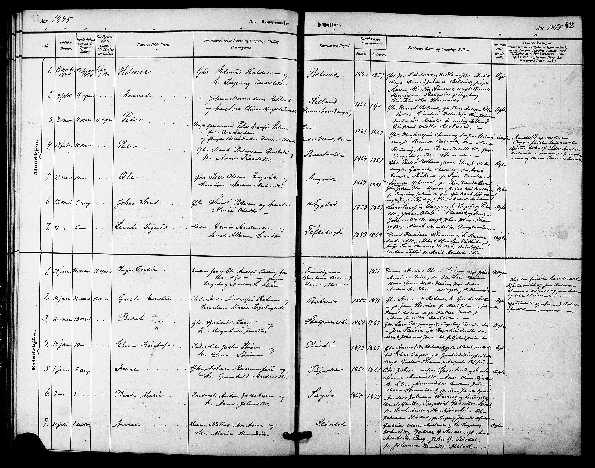 Ministerialprotokoller, klokkerbøker og fødselsregistre - Sør-Trøndelag, SAT/A-1456/633/L0519: Parish register (copy) no. 633C01, 1884-1905, p. 42