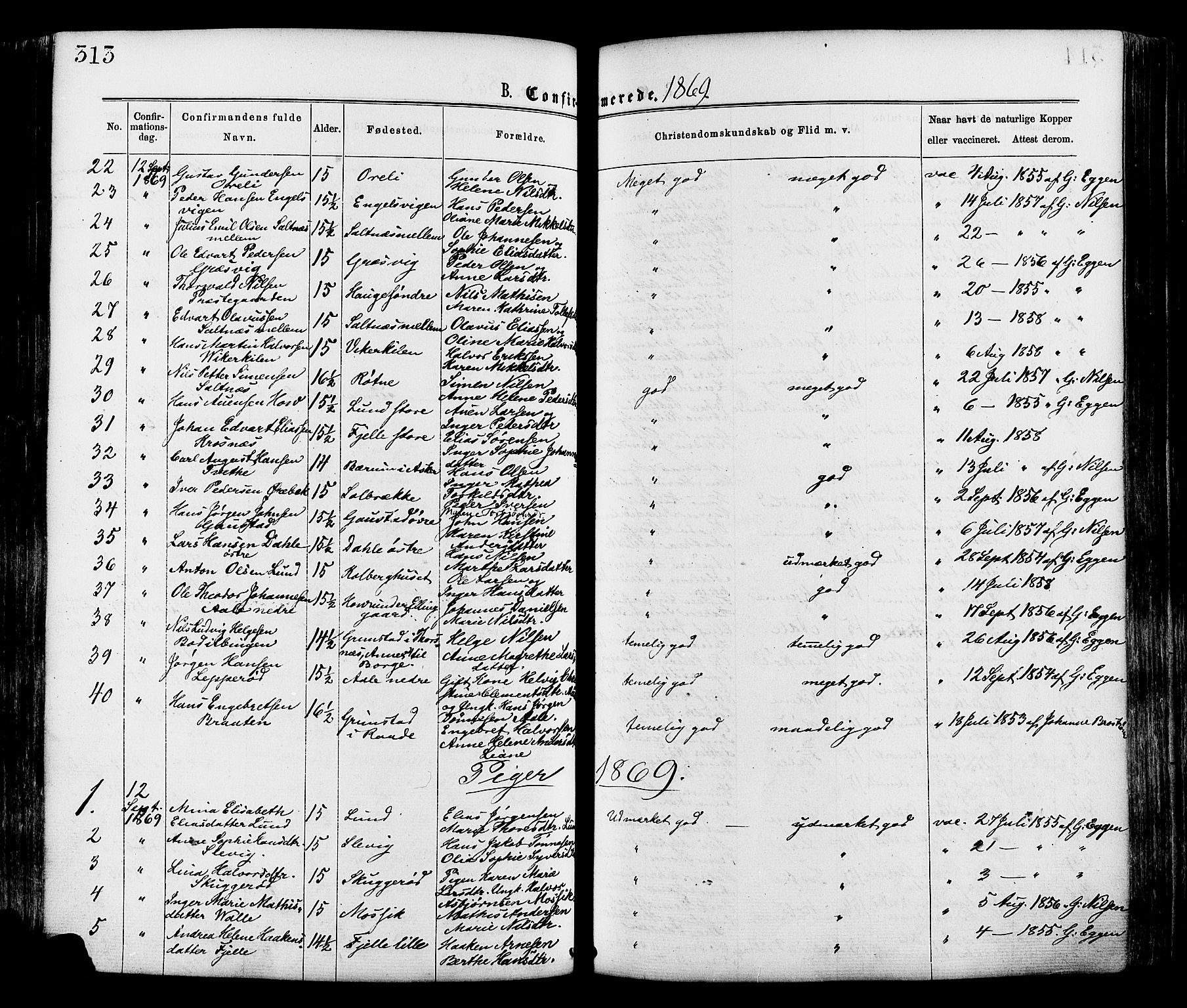 Onsøy prestekontor Kirkebøker, AV/SAO-A-10914/F/Fa/L0004: Parish register (official) no. I 4, 1861-1877, p. 313