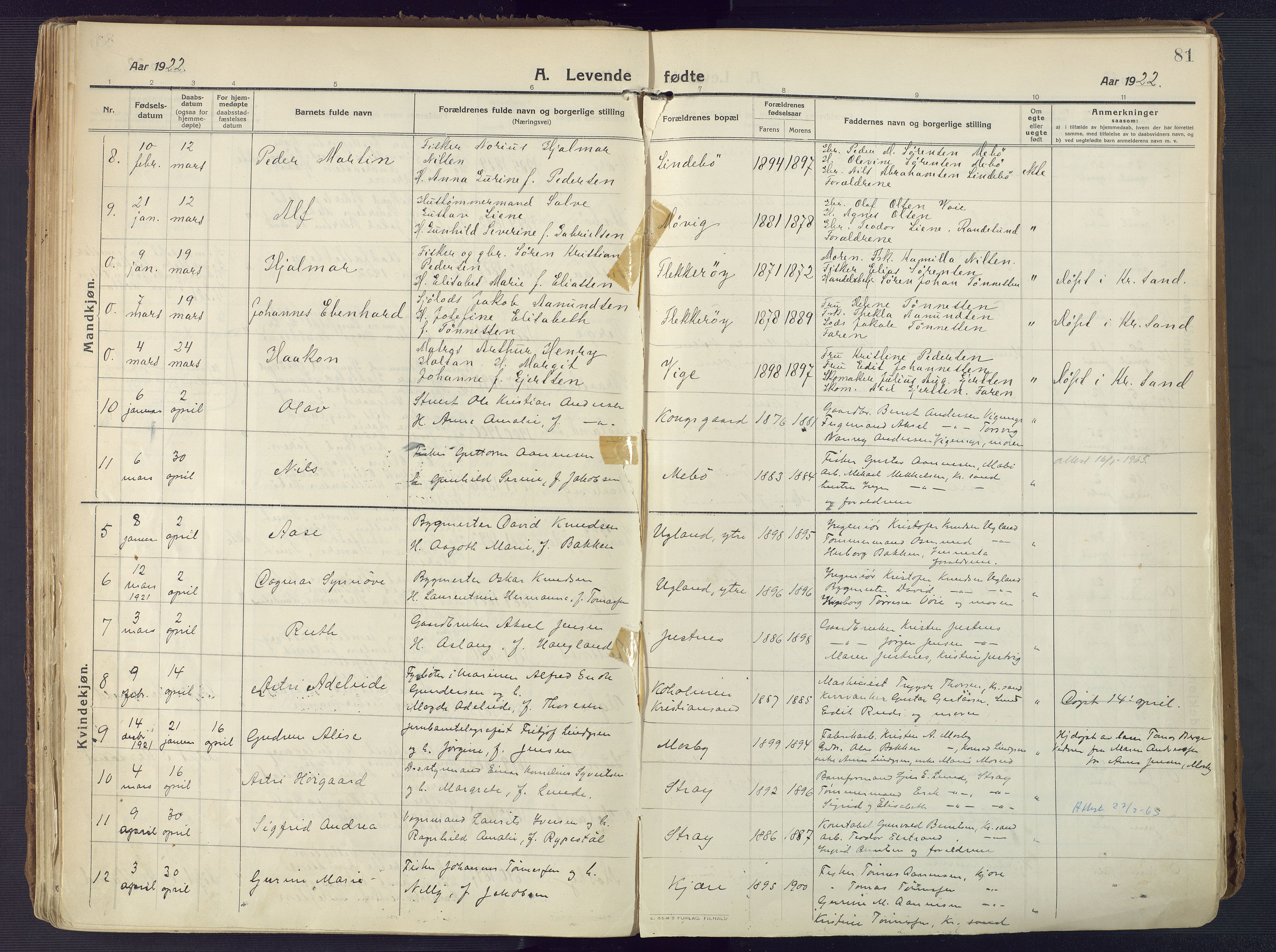 Oddernes sokneprestkontor, AV/SAK-1111-0033/F/Fa/Faa/L0012: Parish register (official) no. A 12, 1912-1925, p. 81