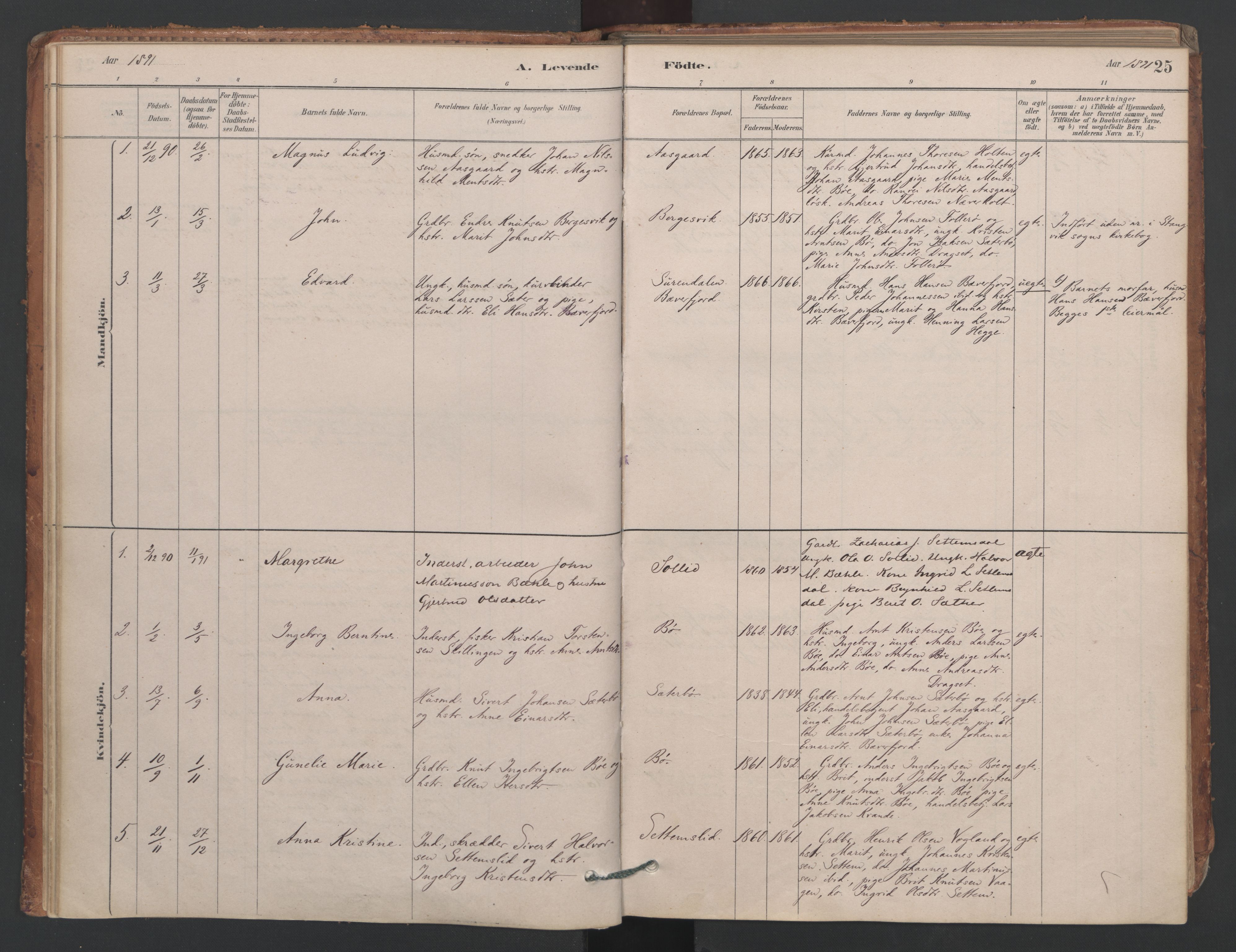 Ministerialprotokoller, klokkerbøker og fødselsregistre - Møre og Romsdal, AV/SAT-A-1454/594/L1036: Parish register (official) no. 594A02 (?), 1879-1910, p. 25