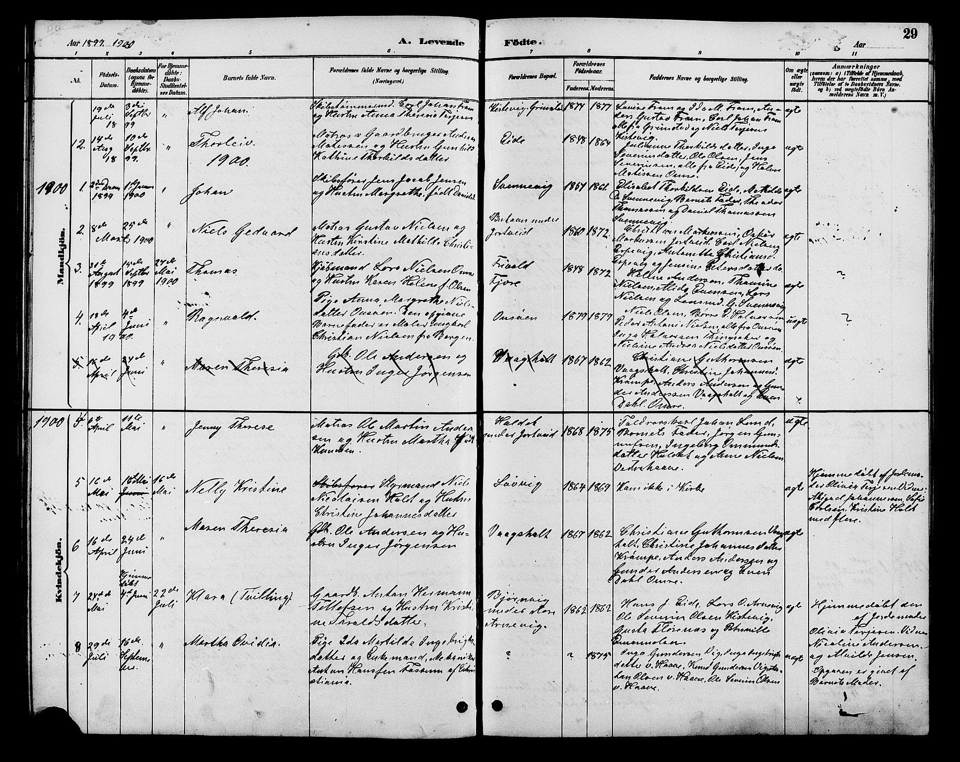 Hommedal sokneprestkontor, AV/SAK-1111-0023/F/Fb/Fba/L0004: Parish register (copy) no. B 4, 1885-1908, p. 29