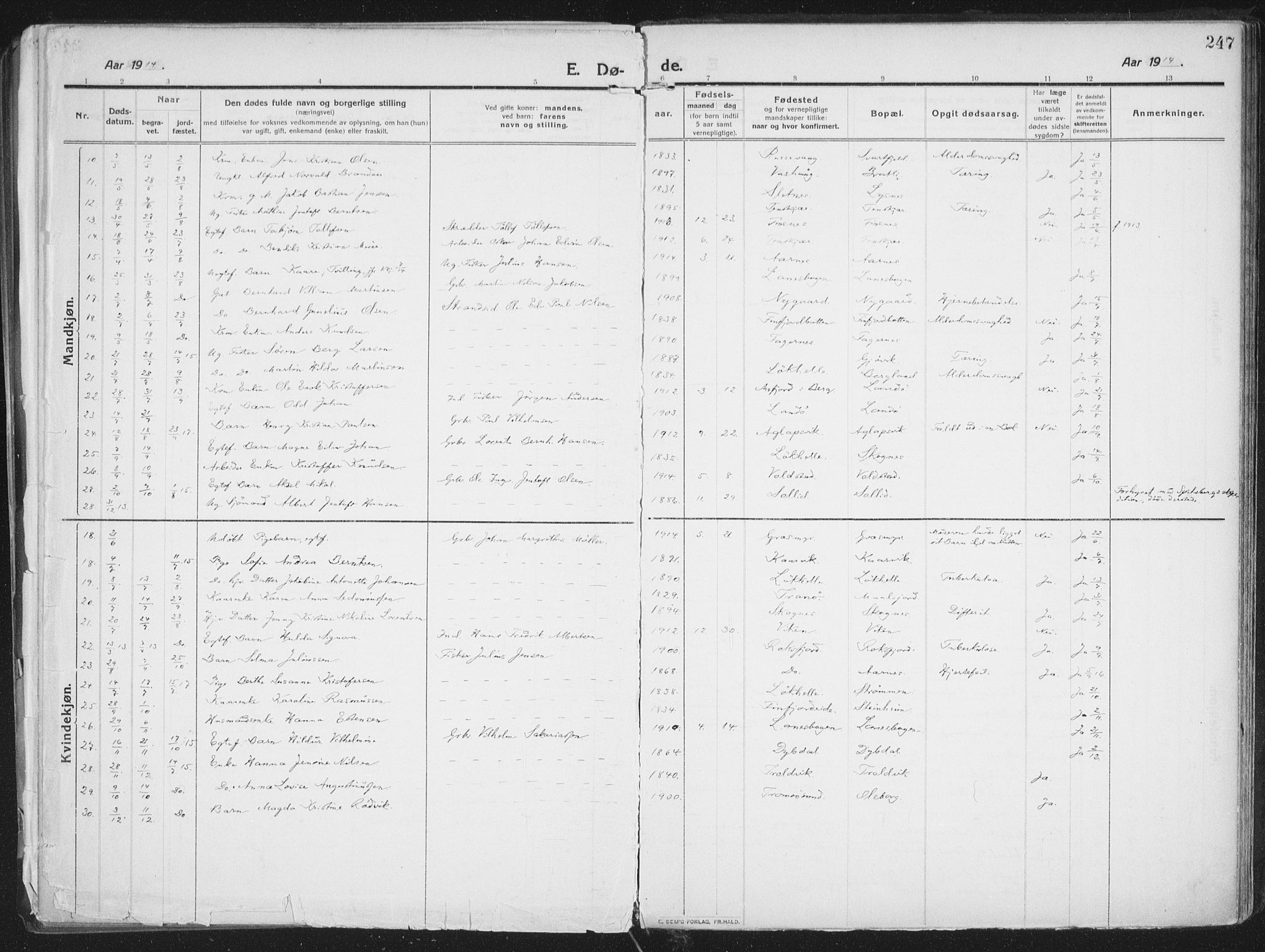 Lenvik sokneprestembete, SATØ/S-1310/H/Ha/Haa/L0016kirke: Parish register (official) no. 16, 1910-1924, p. 247