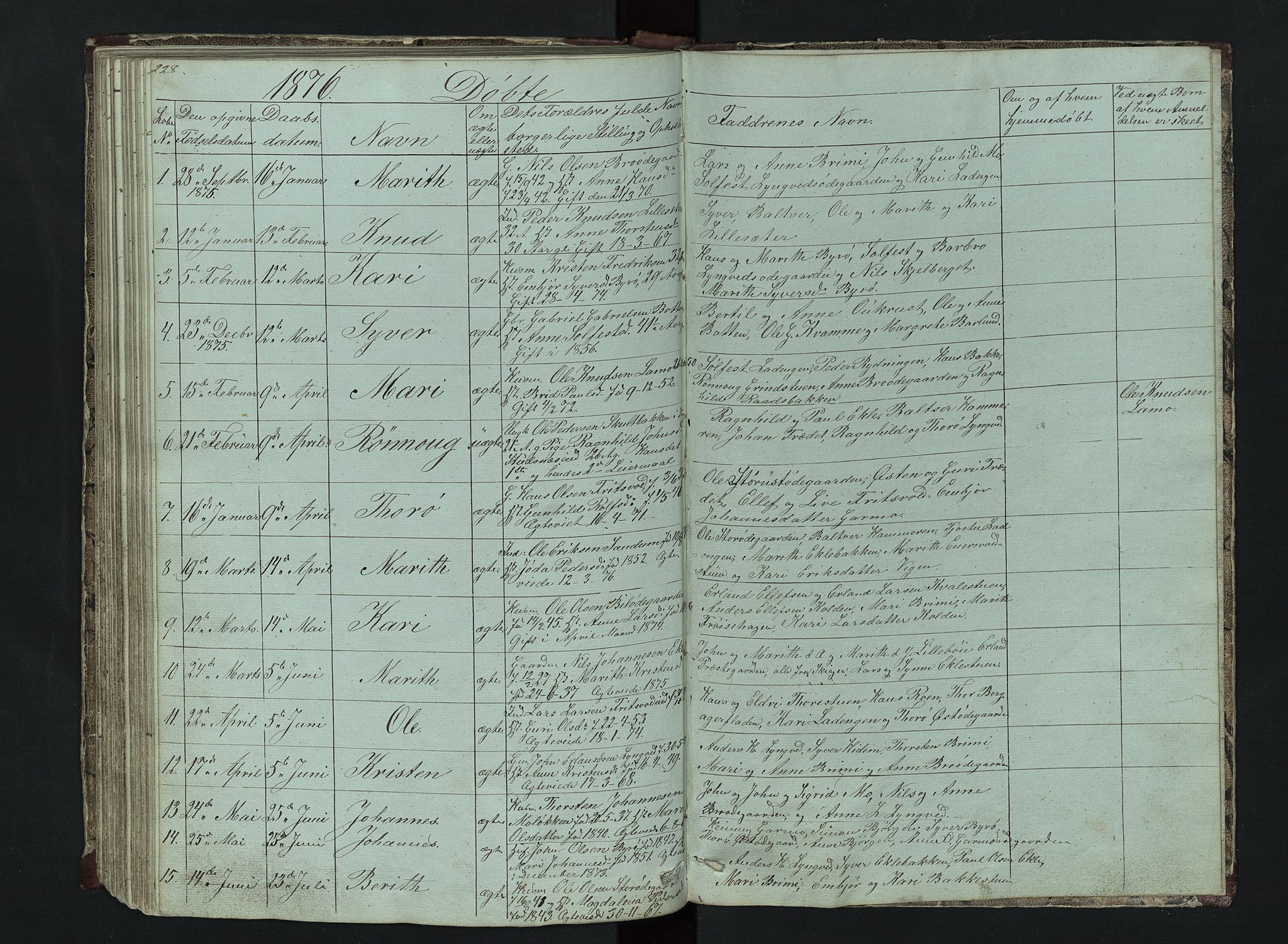 Lom prestekontor, SAH/PREST-070/L/L0014: Parish register (copy) no. 14, 1845-1876, p. 228-229
