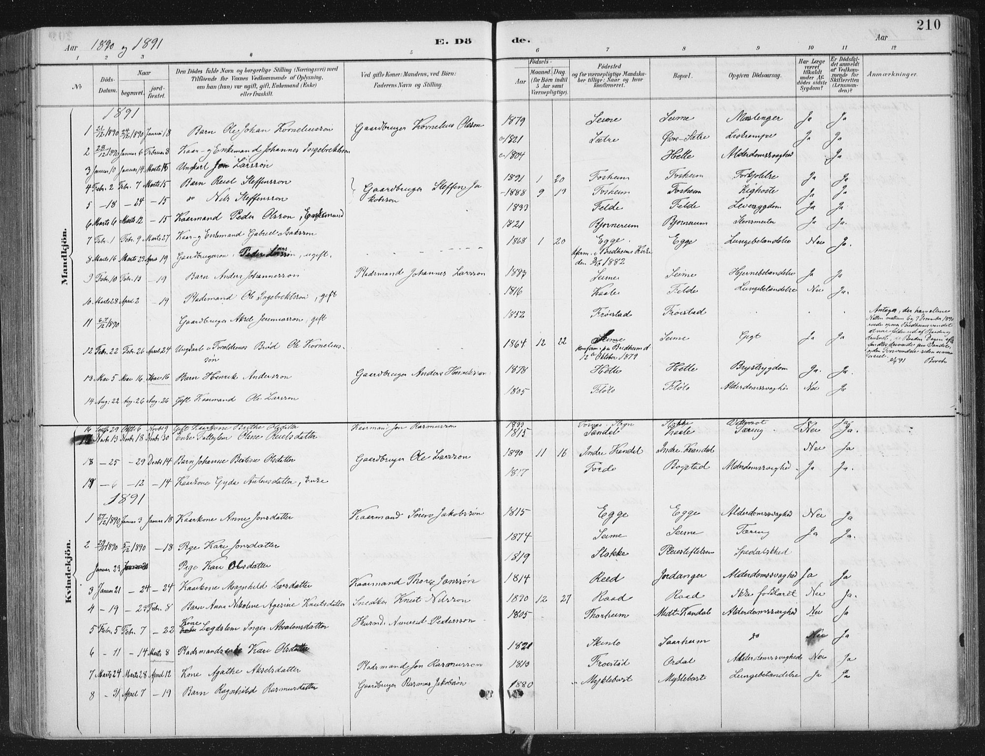 Gloppen sokneprestembete, SAB/A-80101/H/Haa/Haac/L0002: Parish register (official) no. C  2, 1887-1904, p. 210