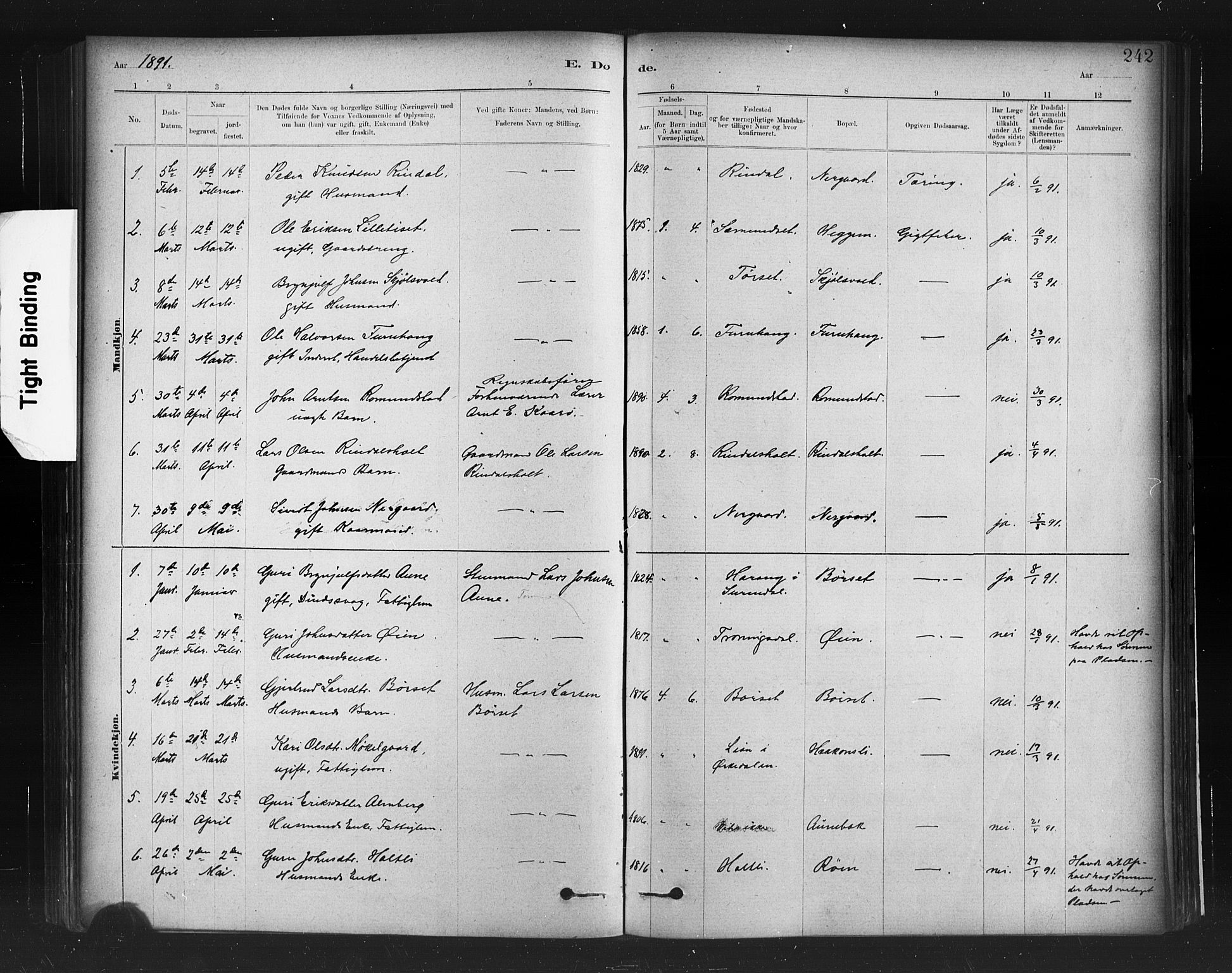 Ministerialprotokoller, klokkerbøker og fødselsregistre - Møre og Romsdal, AV/SAT-A-1454/598/L1069: Parish register (official) no. 598A03, 1882-1895, p. 242