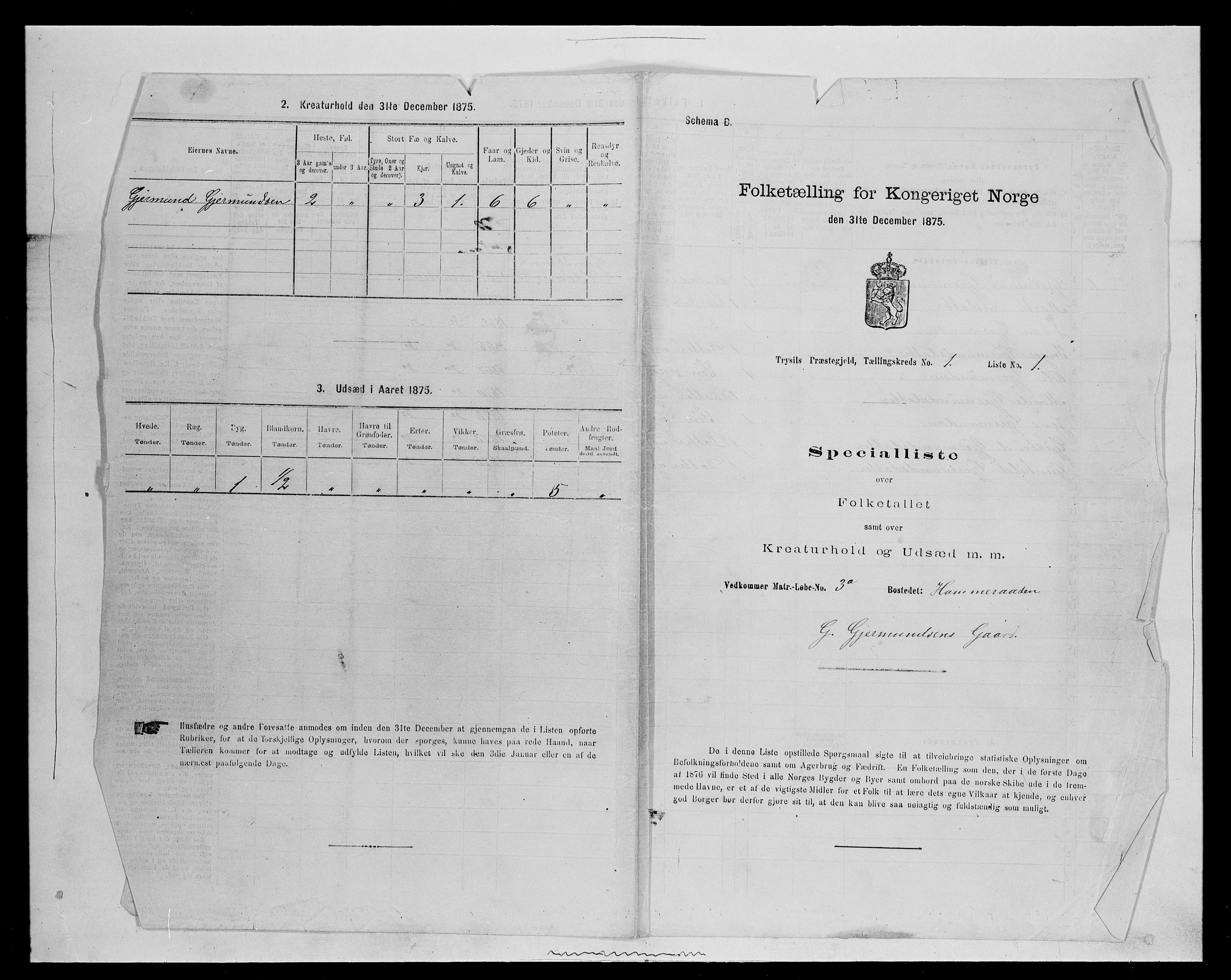 SAH, 1875 census for 0428P Trysil, 1875, p. 125