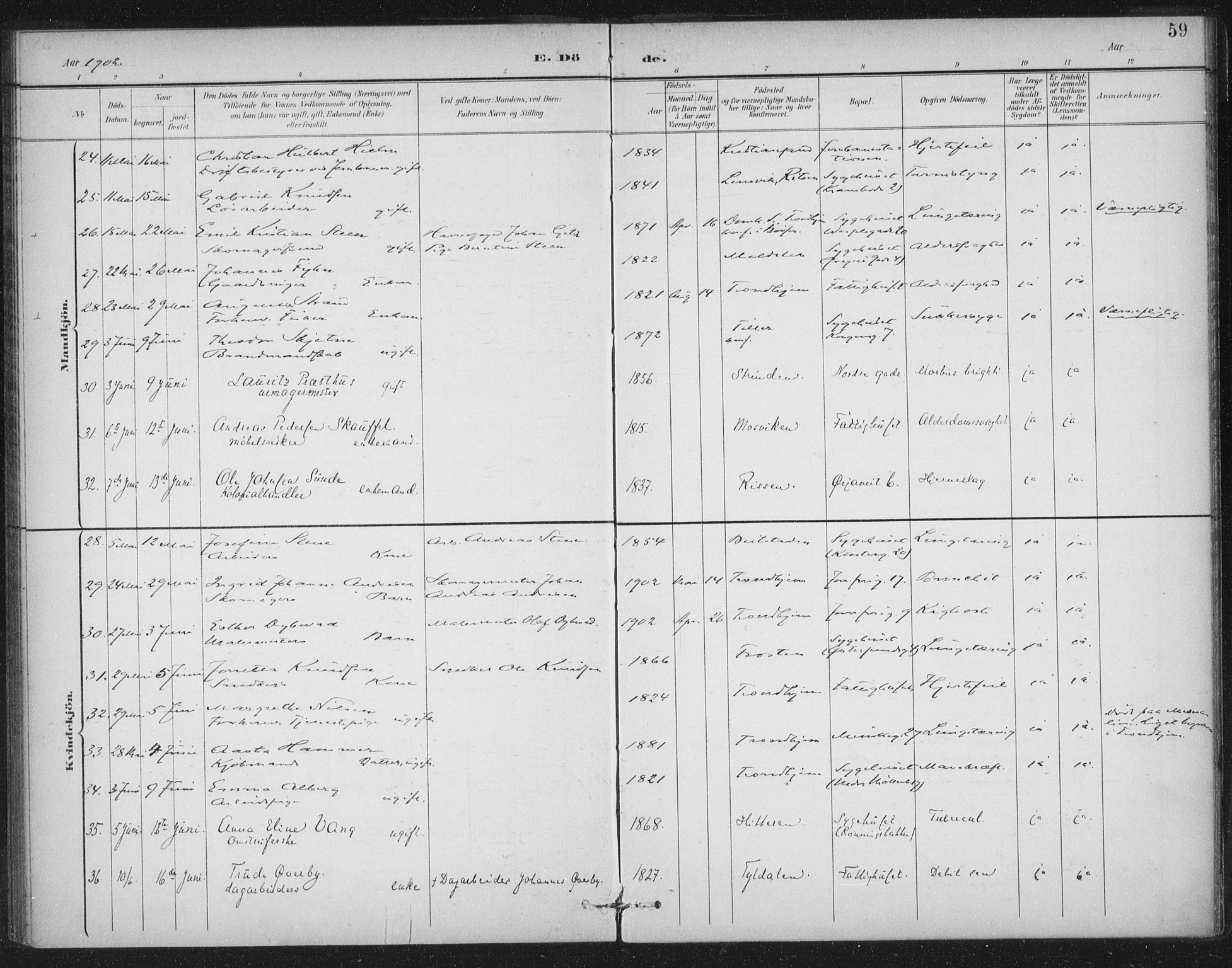 Ministerialprotokoller, klokkerbøker og fødselsregistre - Sør-Trøndelag, AV/SAT-A-1456/602/L0123: Parish register (official) no. 602A21, 1895-1910, p. 59