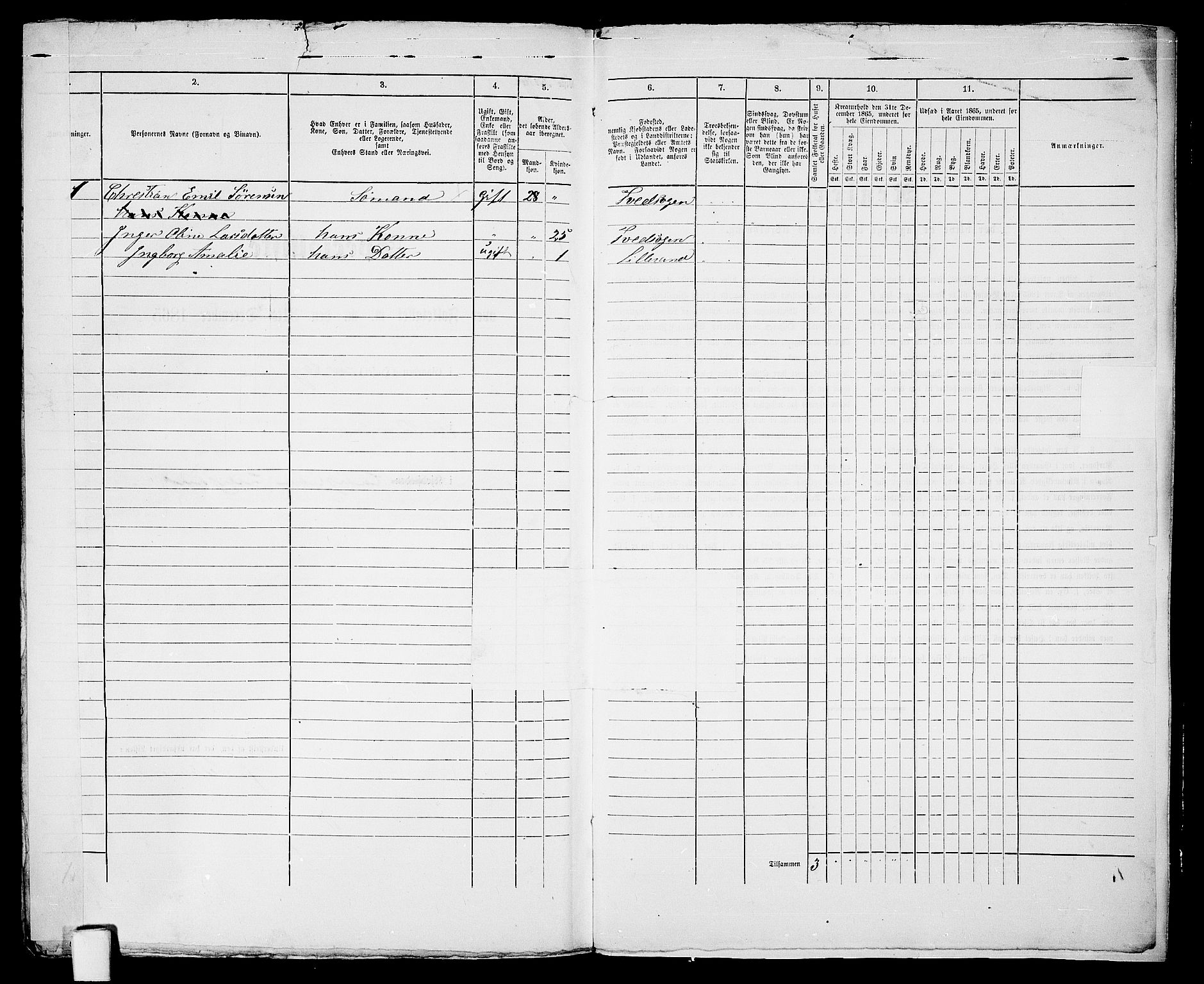 RA, 1865 census for Vestre Moland/Lillesand, 1865, p. 334