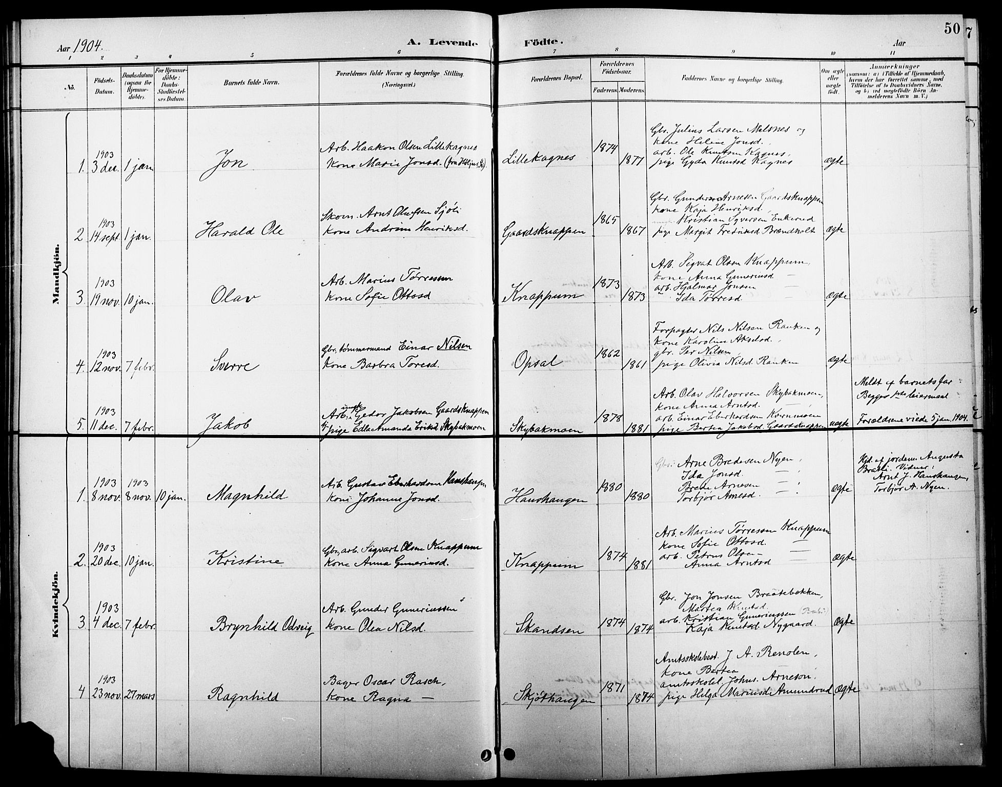 Åsnes prestekontor, AV/SAH-PREST-042/H/Ha/Hab/L0005: Parish register (copy) no. 5, 1895-1920, p. 50