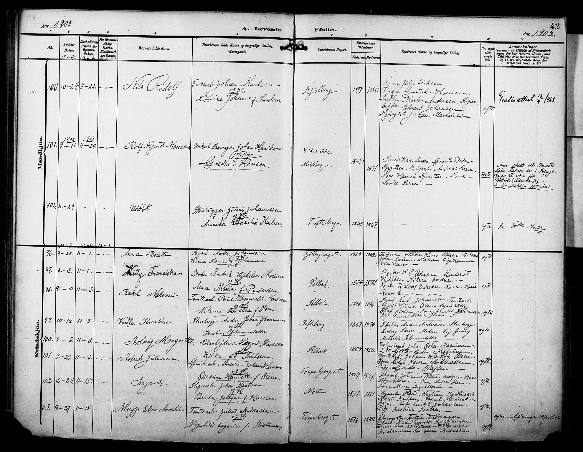 Borge prestekontor Kirkebøker, AV/SAO-A-10903/F/Fa/L0009: Parish register (official) no. I 9, 1902-1911, p. 42