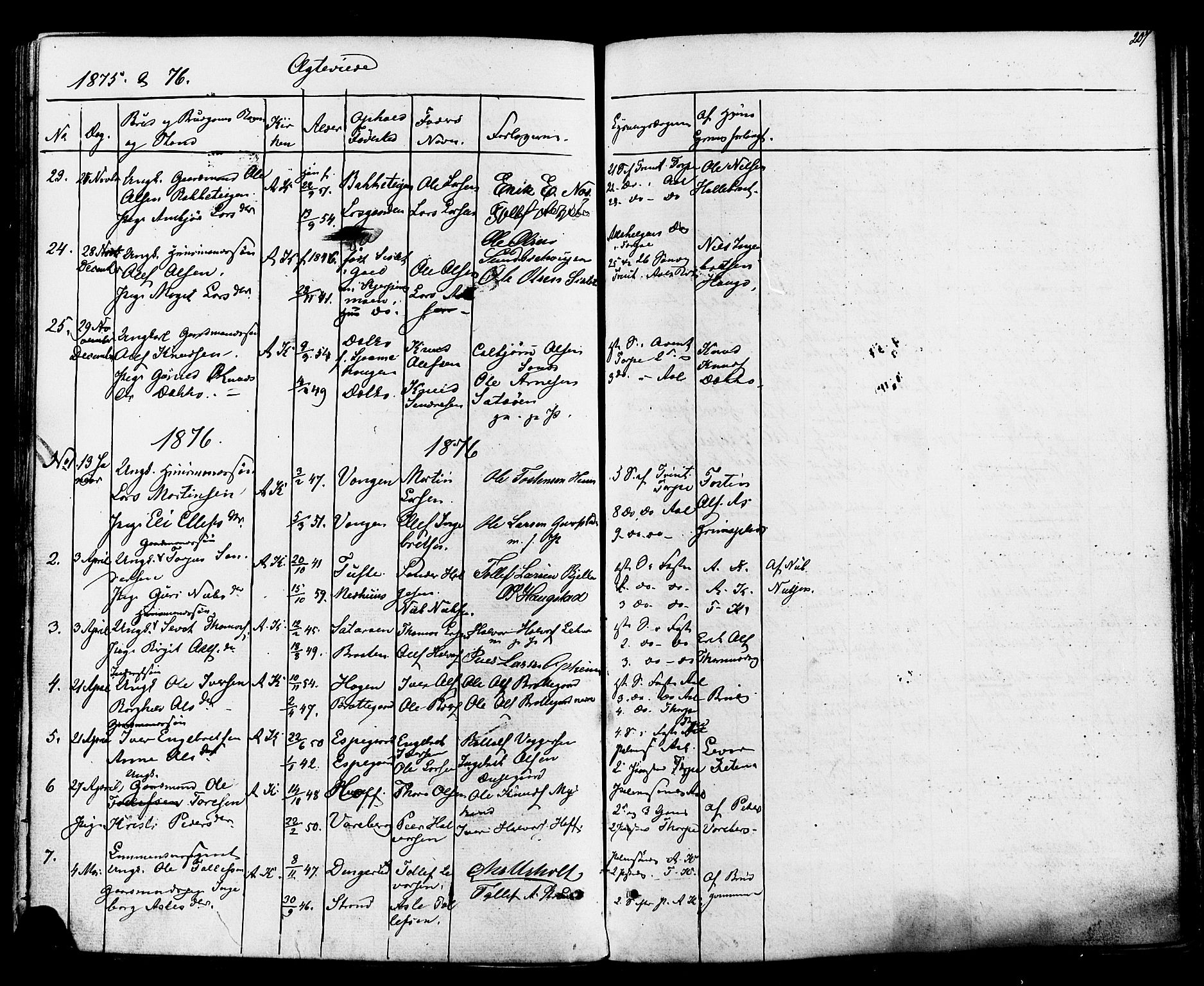 Ål kirkebøker, AV/SAKO-A-249/F/Fa/L0007: Parish register (official) no. I 7, 1865-1881, p. 207