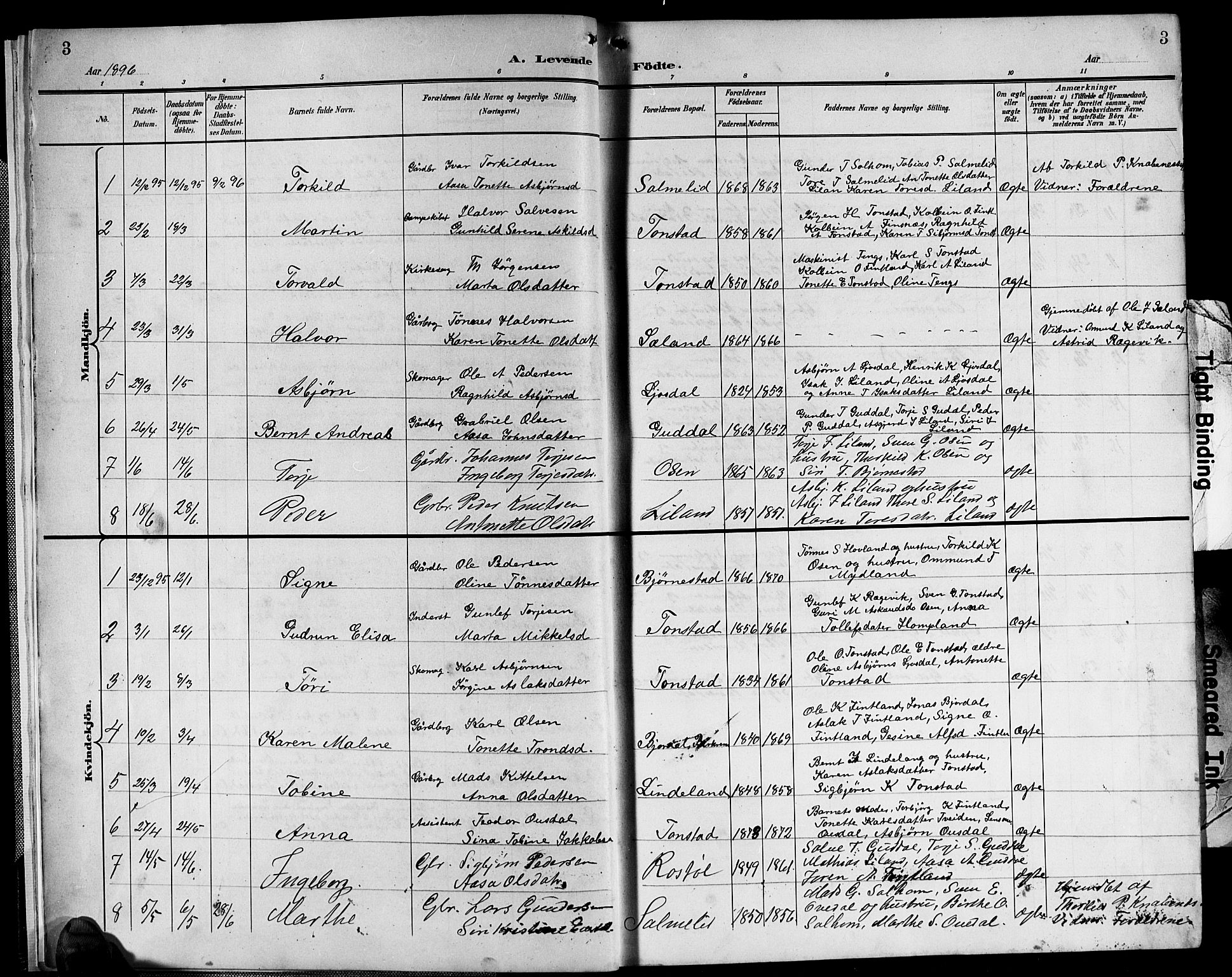 Sirdal sokneprestkontor, AV/SAK-1111-0036/F/Fb/Fbb/L0004: Parish register (copy) no. B 4, 1895-1916, p. 3